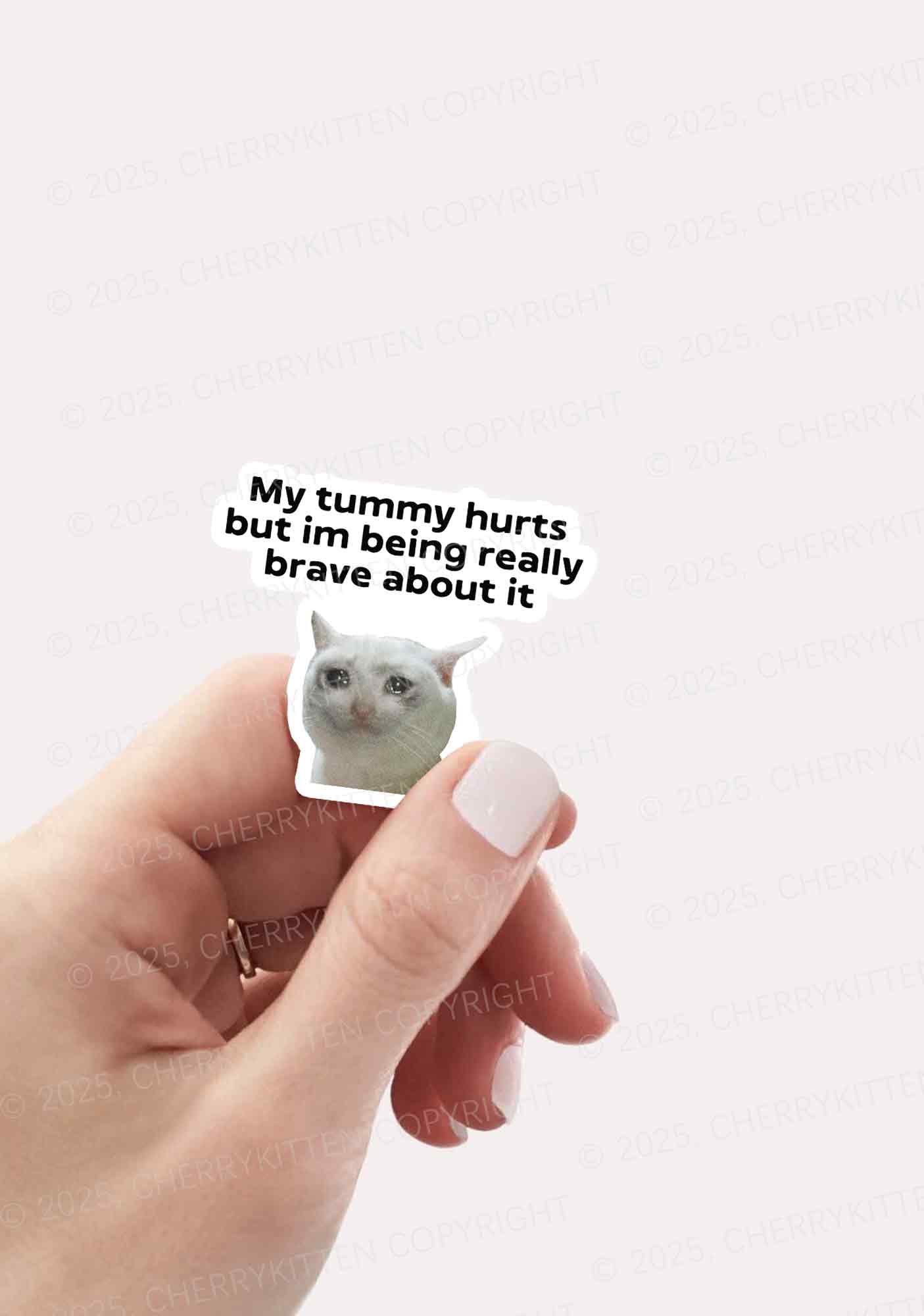 Cat Tummy Hurts 1Pc Y2K Sticker Cherrykitten