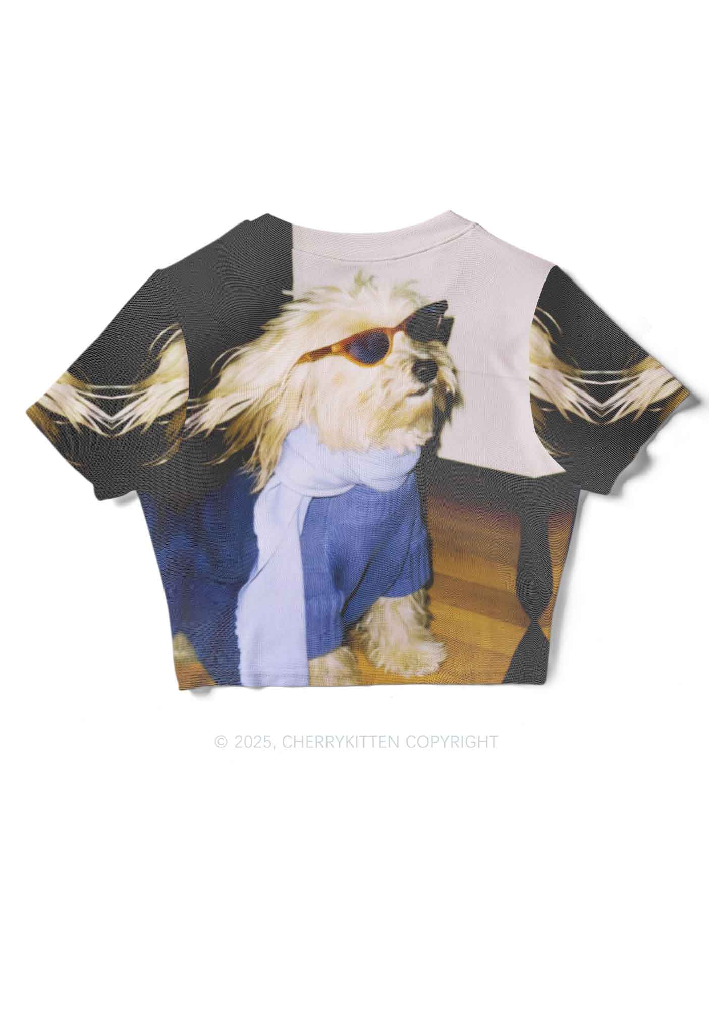 Sunglasses Puppy Y2K Mesh Crop Top Cherrykitten