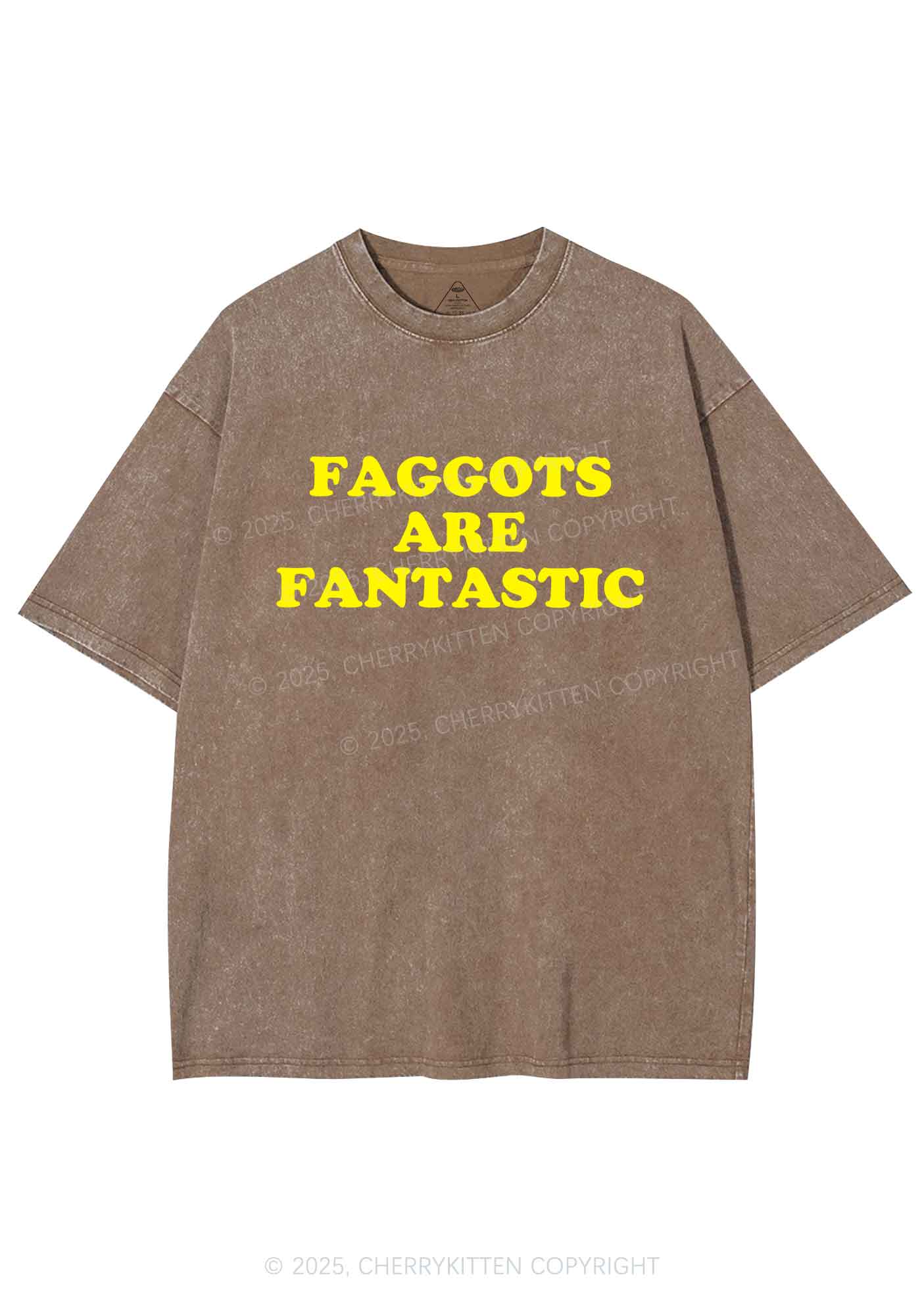 Faggots Are Fantastic Pride Y2K Shirts Washed Tee Cherrykitten
