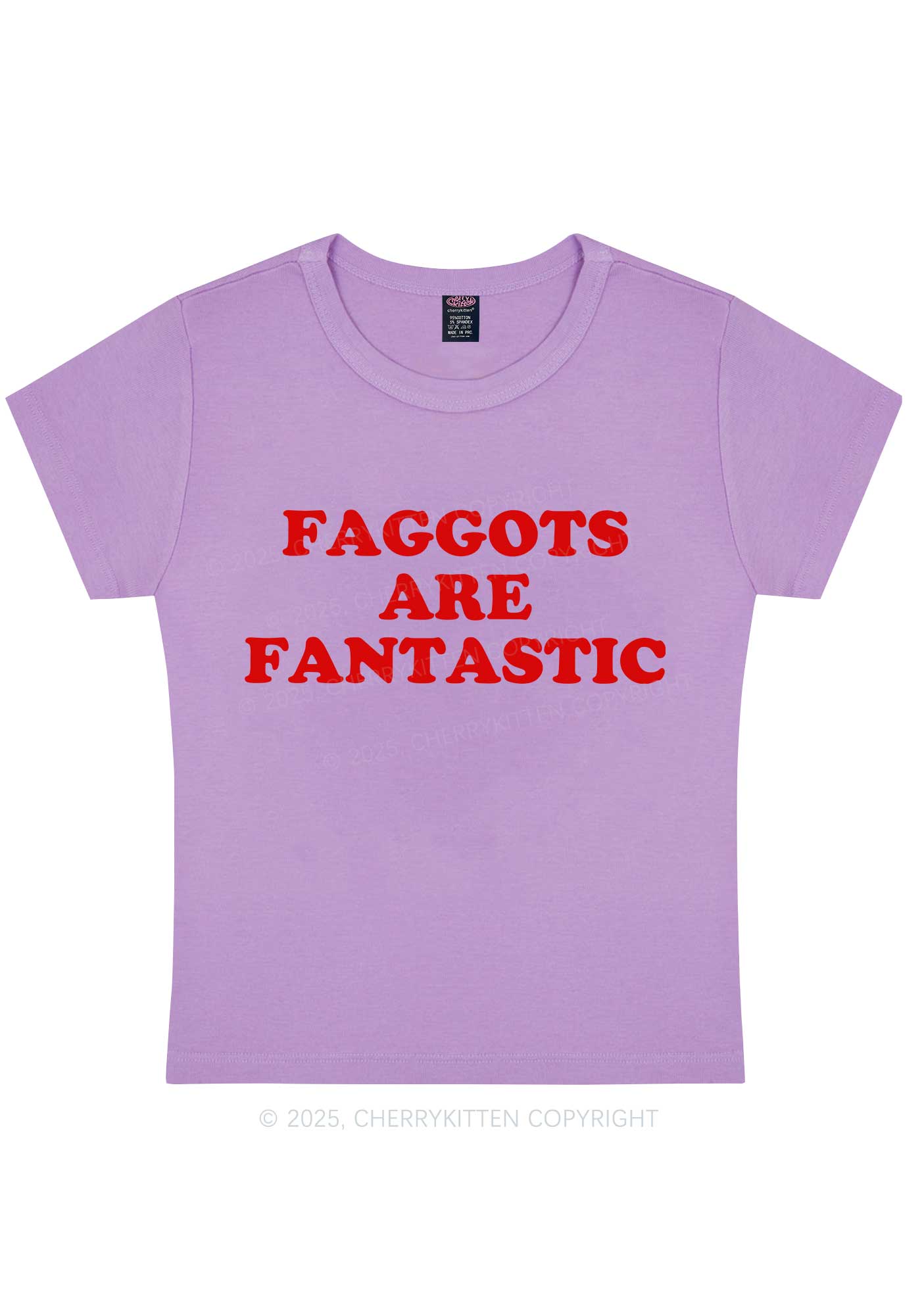 Faggots Are Fantastic Pride Y2K Baby Tee Cherrykitten