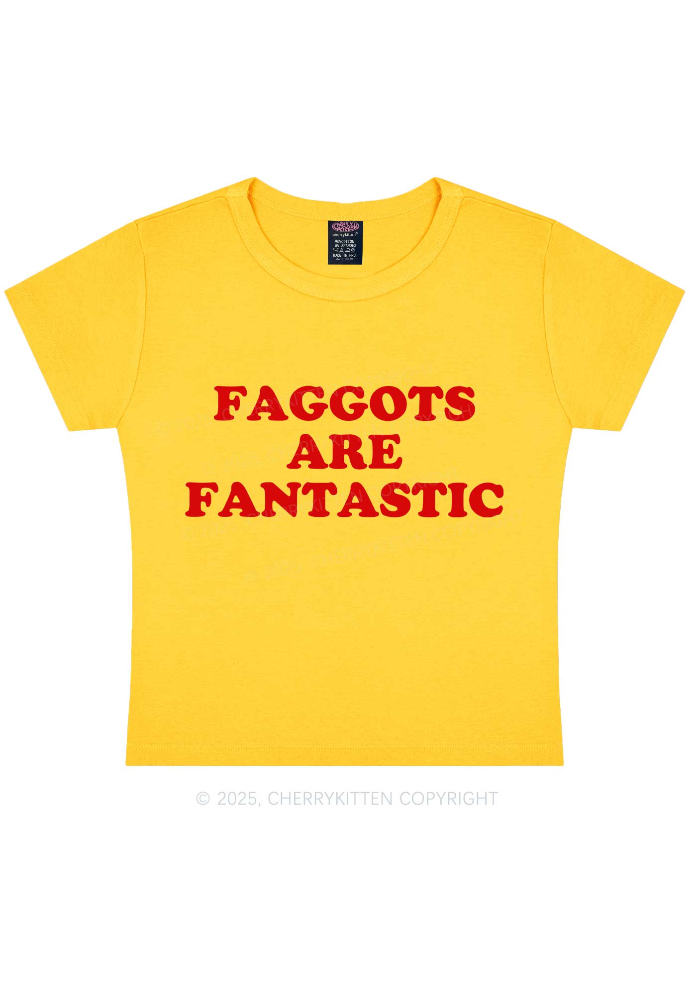 Faggots Are Fantastic Pride Y2K Baby Tee Cherrykitten