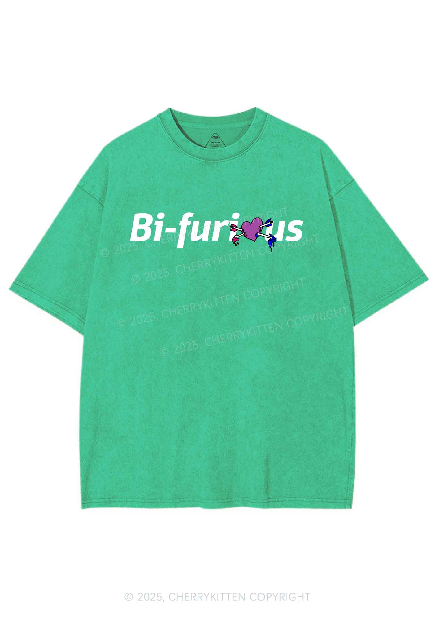Bifurious Pride Y2K Shirts Washed Tee Cherrykitten