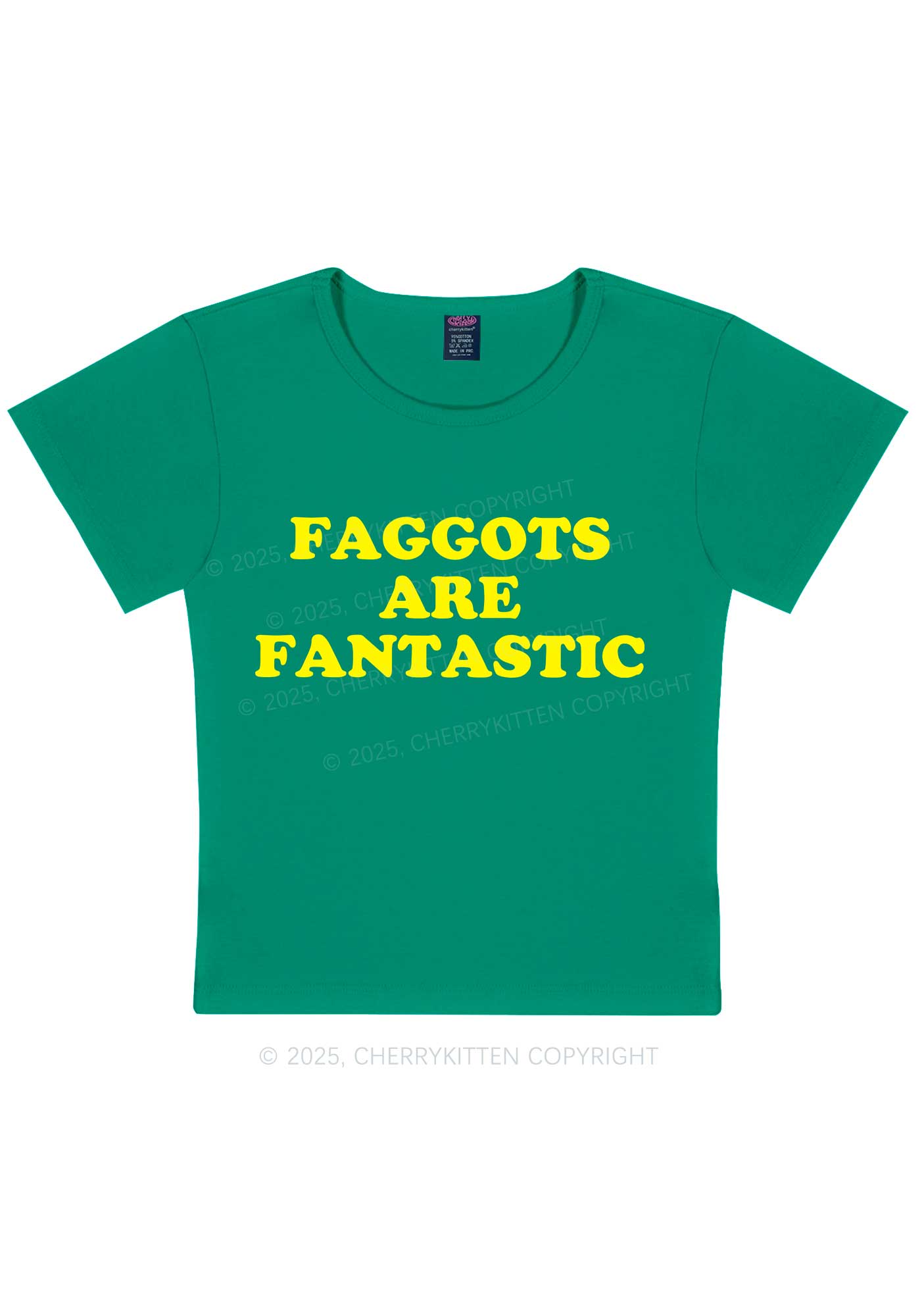 Faggots Are Fantastic Pride Y2K Baby Tee Cherrykitten