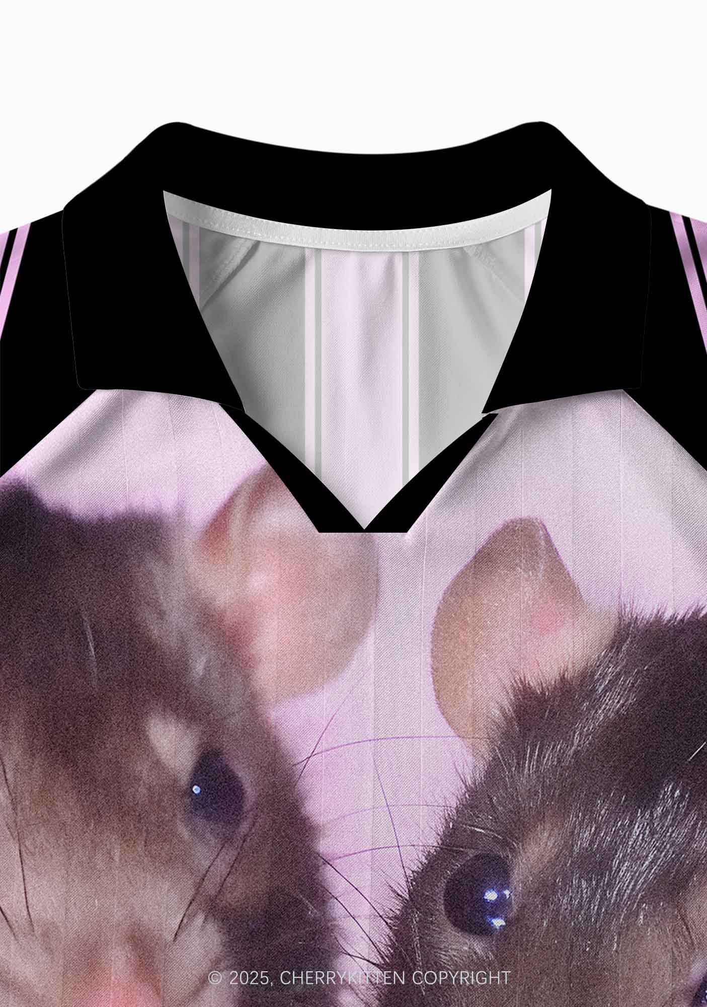 Custom Cheese Rat Y2K Long Sleeve Sport Jersey Shirts Cherrykitten