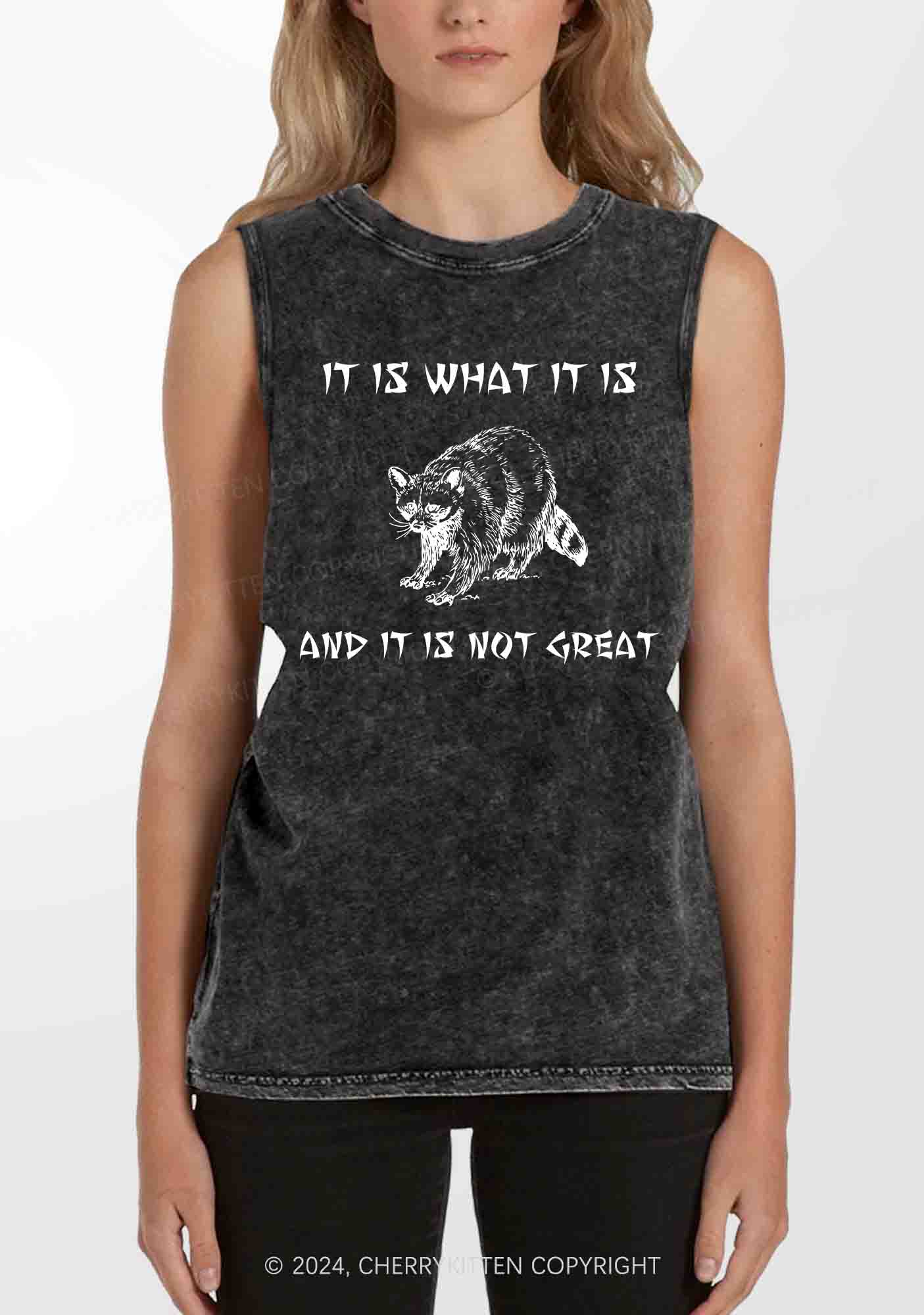 It Is What It Is And It Is Not Great Y2K Washed Tank Cherrykitten