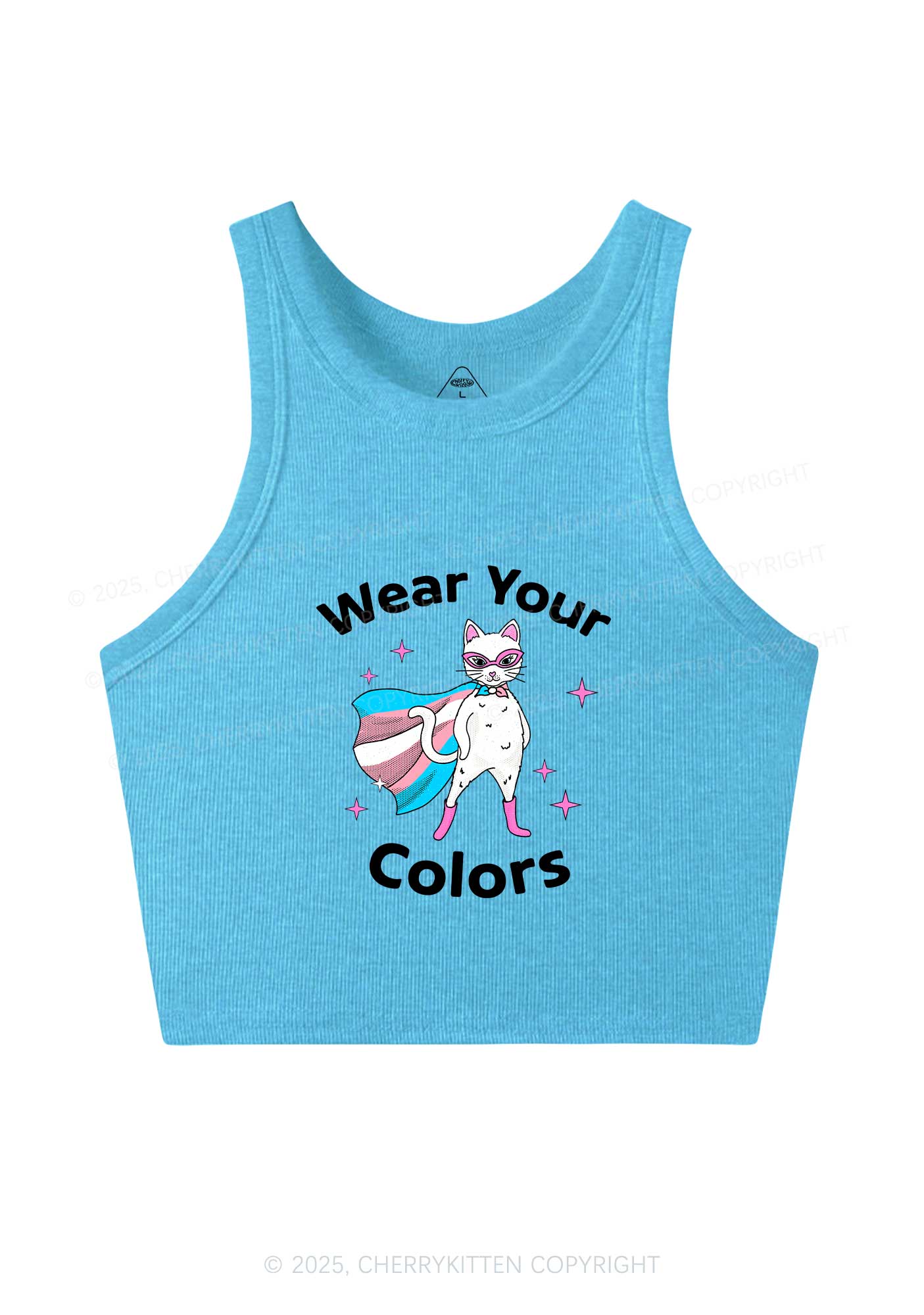 Transgender Flag Cat Pride Y2K Crop Tank Top Cherrykitten