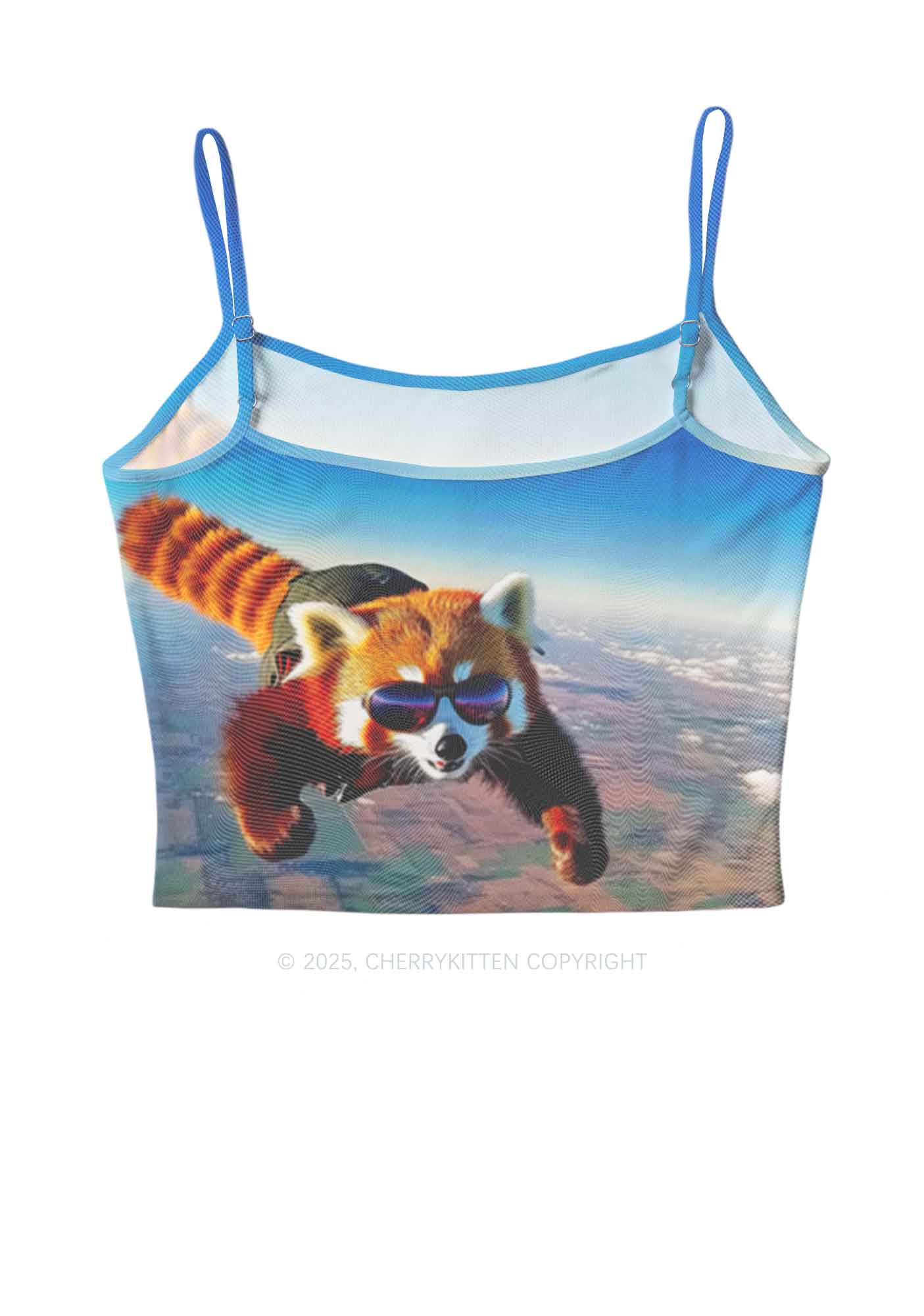 Flying Cool Raccoon Y2K Mesh Cami Tank Cherrykitten