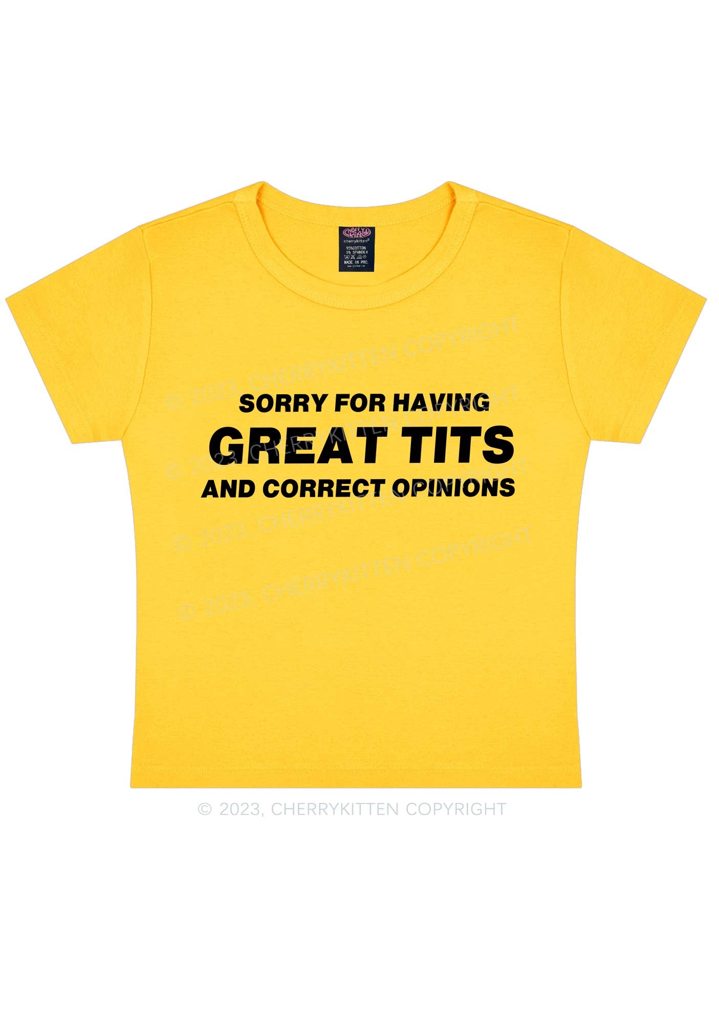 Sorry For Having Correct Opinions Y2K Baby Tee