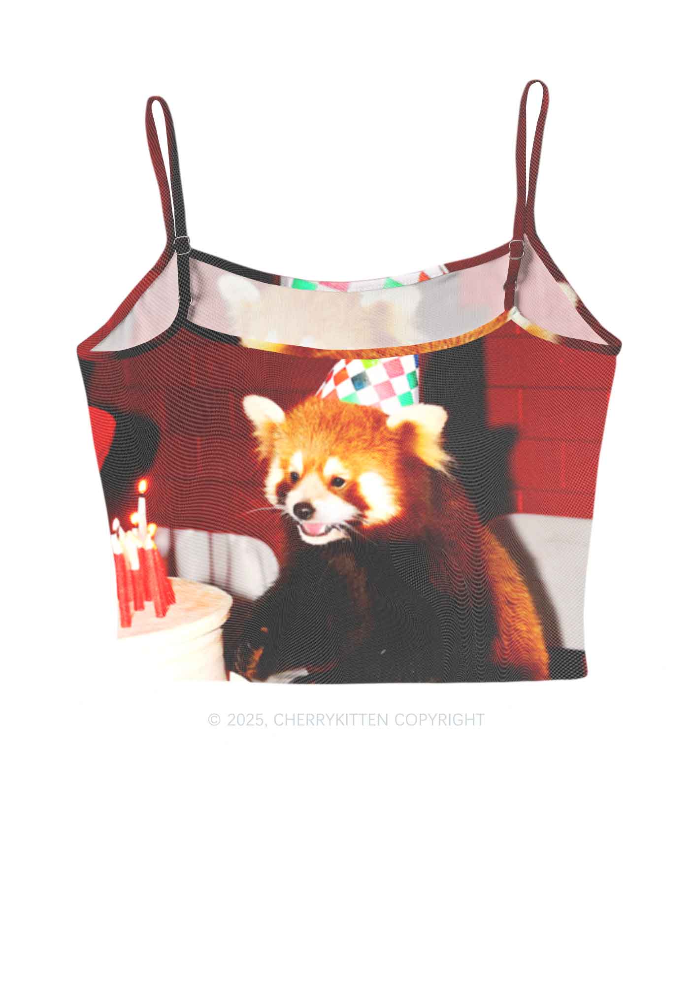 Birthday Cake Raccoon Y2K Mesh Cami Tank Cherrykitten