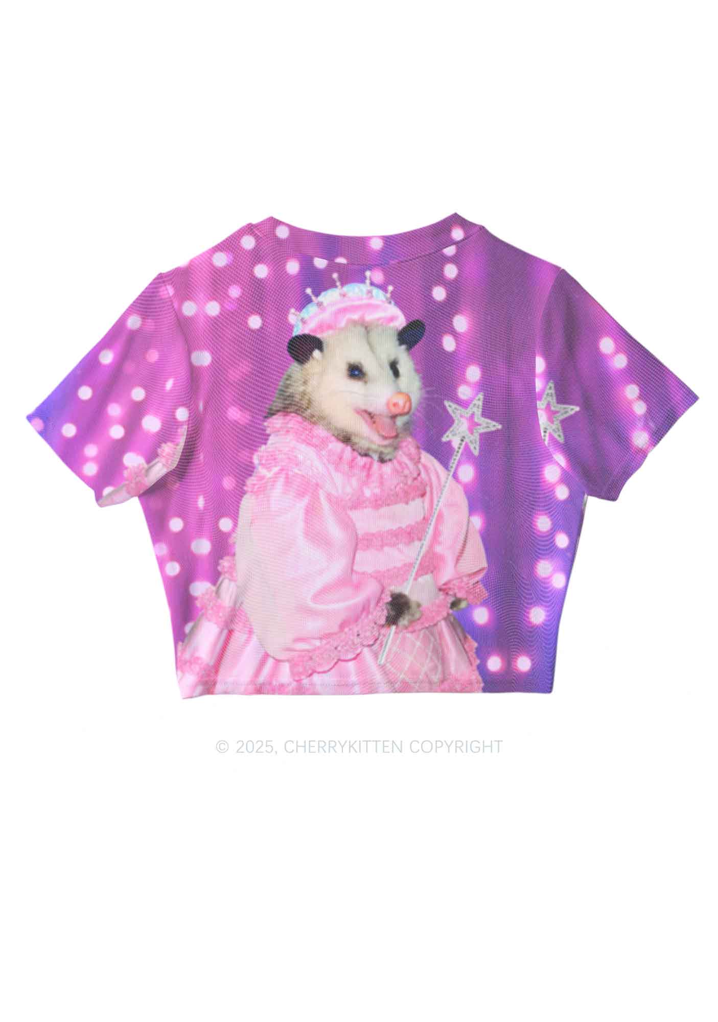 Magic Pink Ratz Y2K Mesh Crop Top Cherrykitten