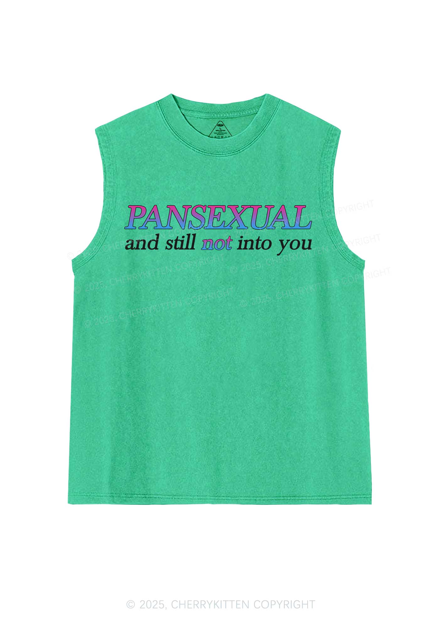 Pansexual Still Not Into You Pride Y2K Washed Muscle Tank Cherrykitten