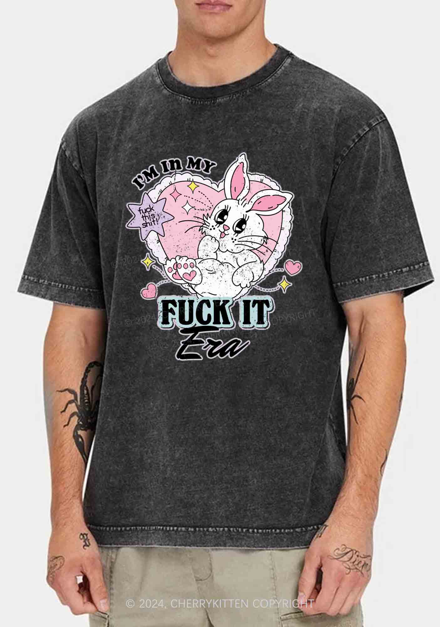 I'm In My F Era Y2K Washed Tee Cherrykitten