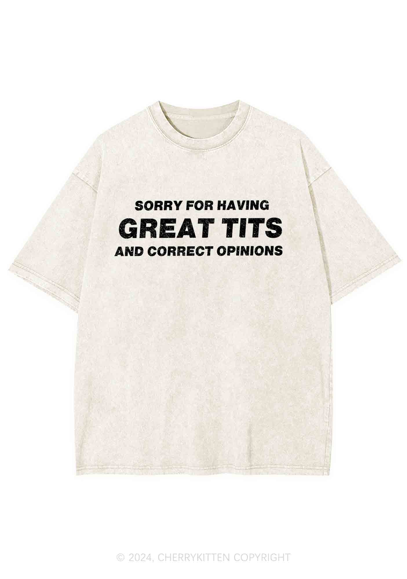 Sorry For Having Correct Opinions Y2K Washed Tee Cherrykitten