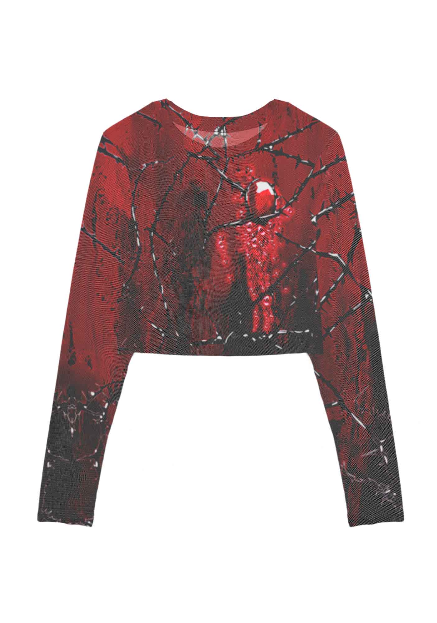 Thorned Ruby Y2K Mesh Long Sleeve Crop Top Cherrykitten