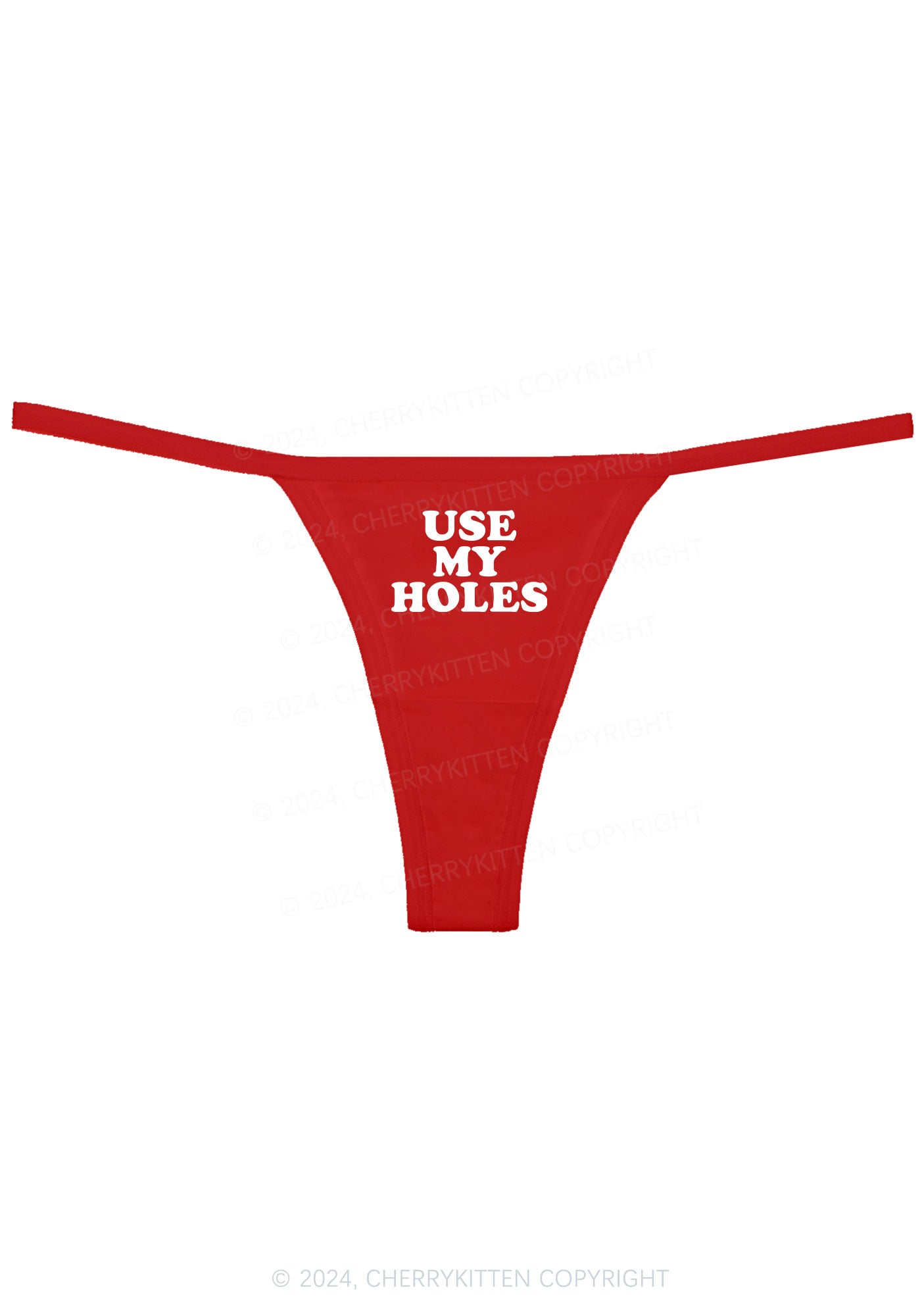 Use My Holes Y2K Flat String Thong Cherrykitten