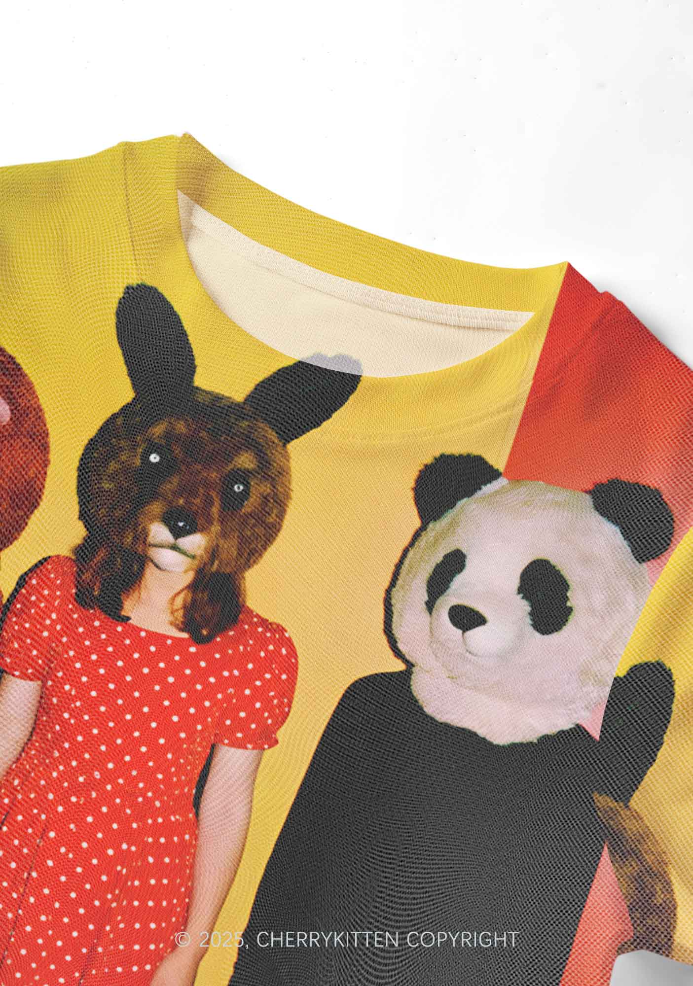 Rabbit Mask Girl Y2K Mesh Crop Top Cherrykitten