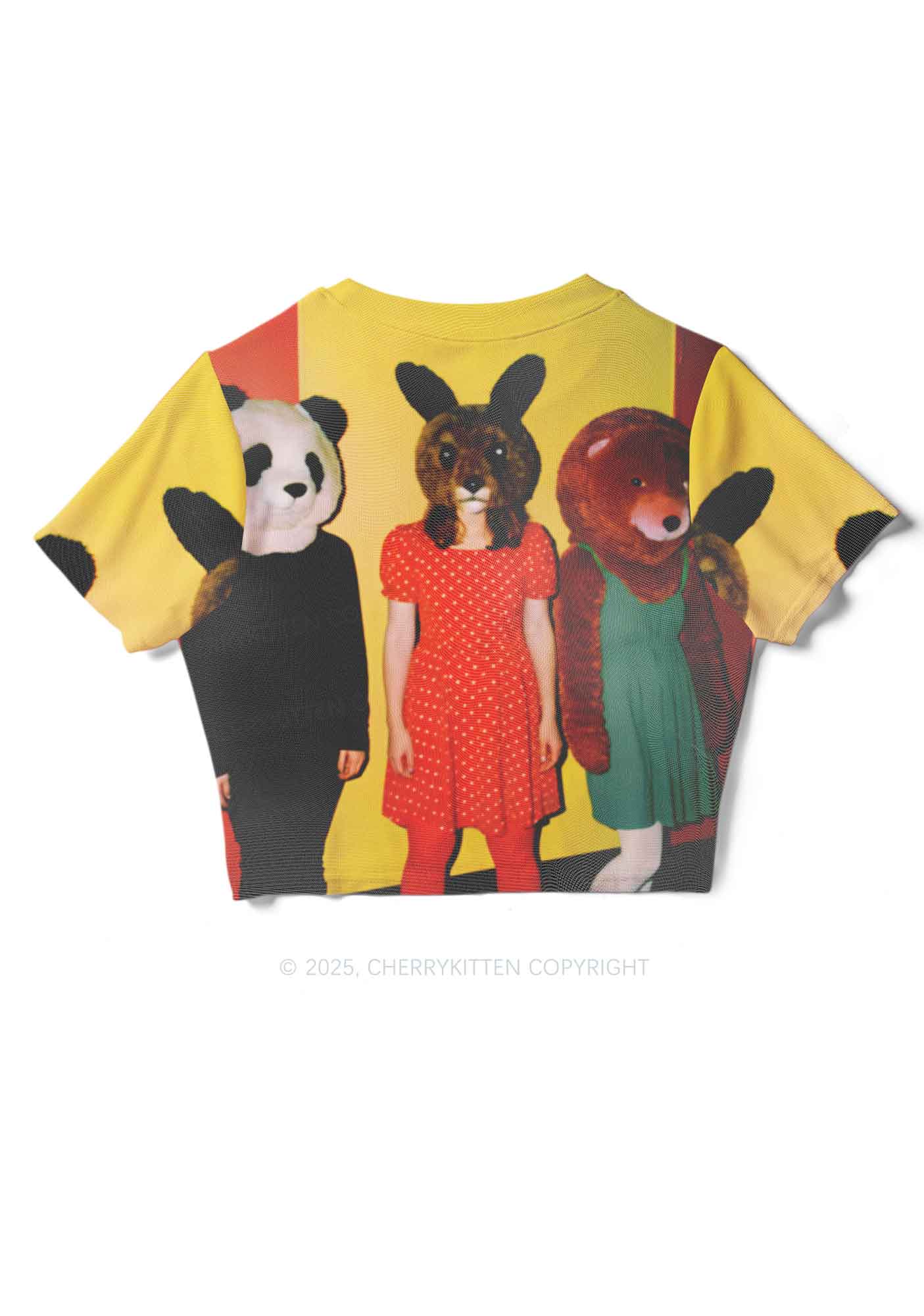 Rabbit Mask Girl Y2K Mesh Crop Top Cherrykitten