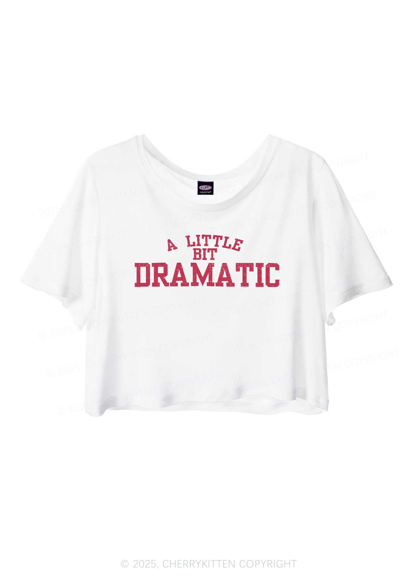 A Little Bit Dramatic Y2K Sheer Crop Tee Cherrykitten