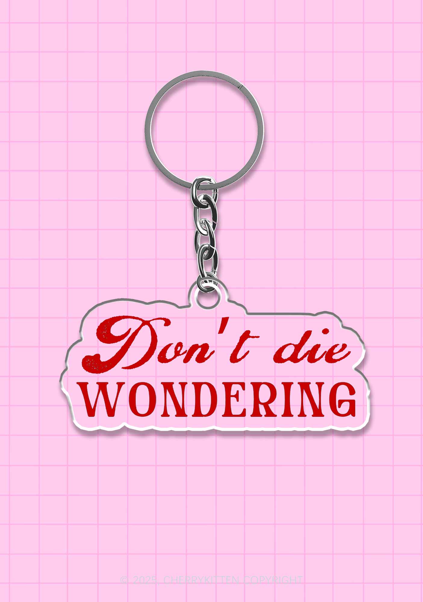 Dont Die Wondering Pride 1Pc Y2K Keychain Cherrykitten
