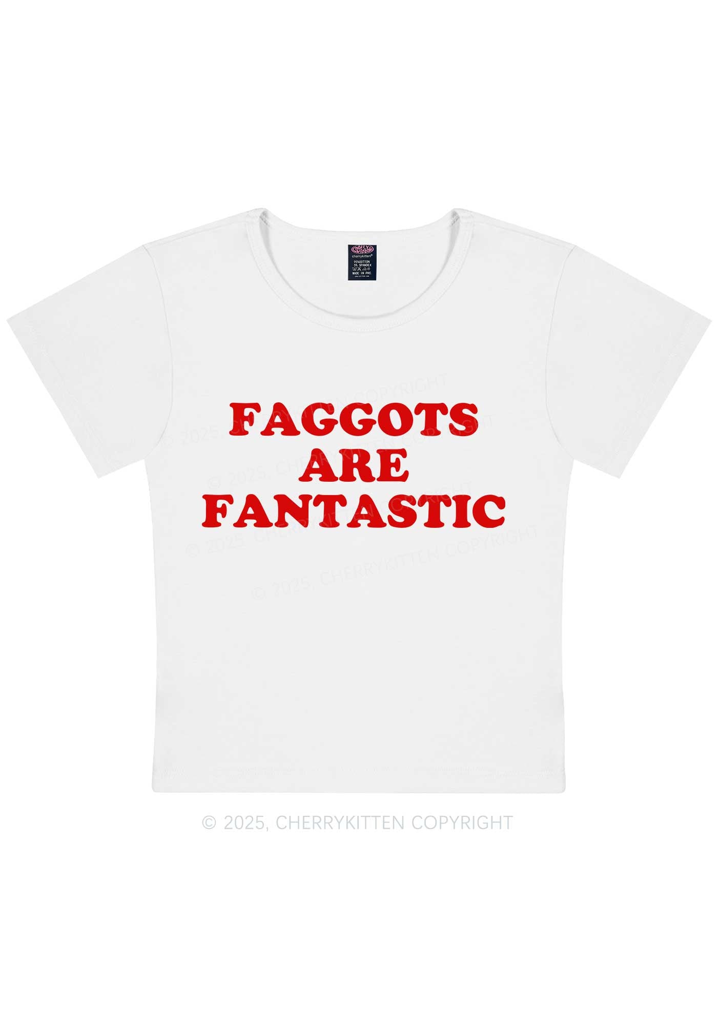 Faggots Are Fantastic Pride Y2K Baby Tee Cherrykitten