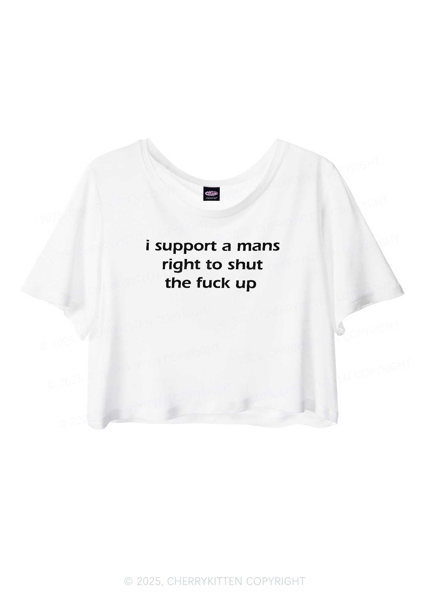 I Support A Mans Right Y2K Sheer Crop Tee Cherrykitten