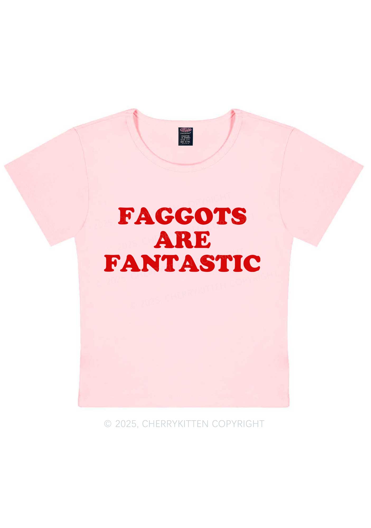 Faggots Are Fantastic Pride Y2K Baby Tee Cherrykitten