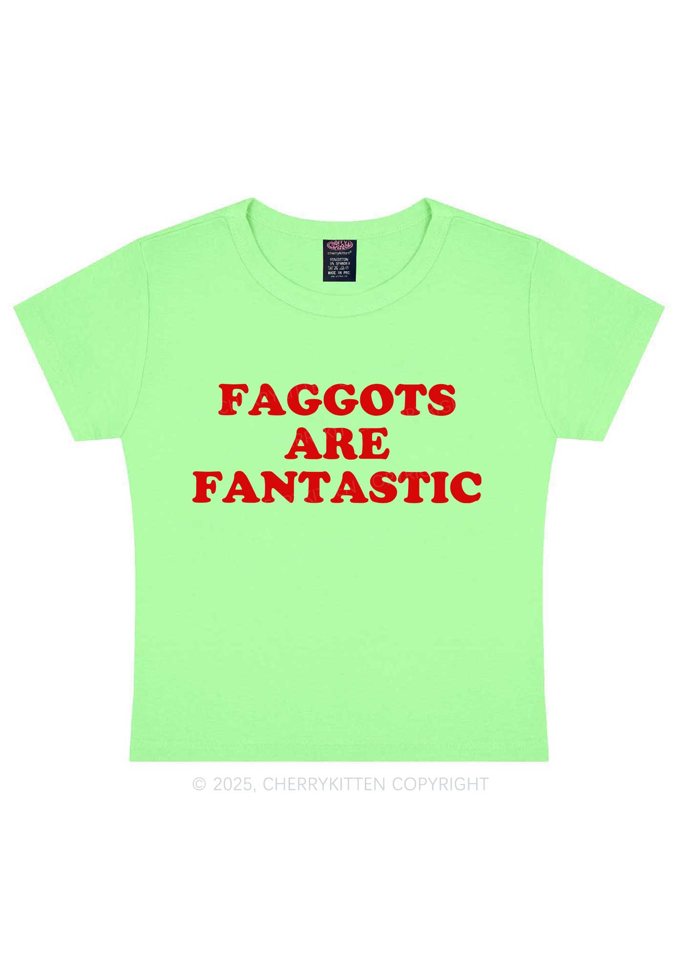 Faggots Are Fantastic Pride Y2K Baby Tee Cherrykitten