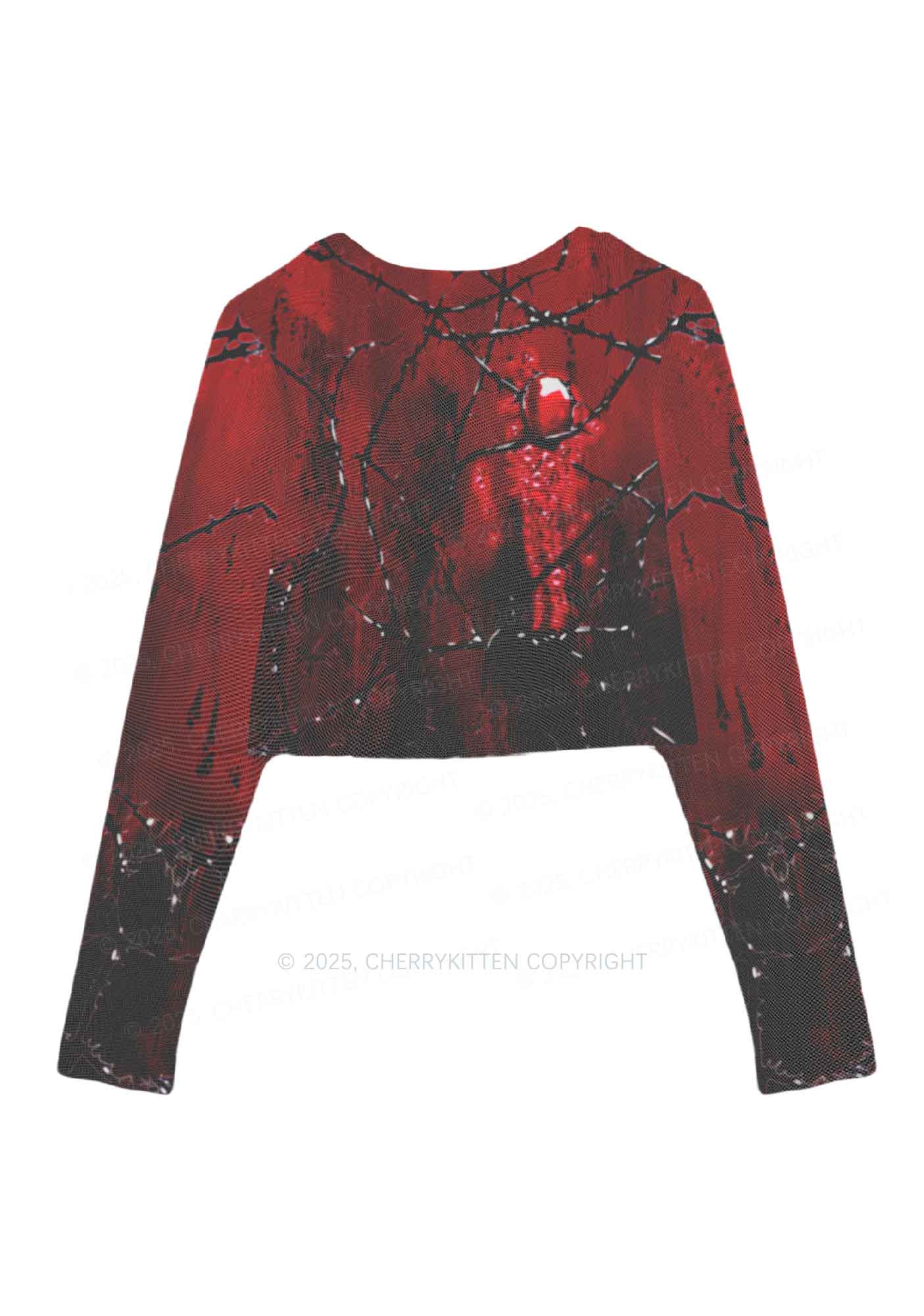 Thorned Ruby Y2K Mesh Long Sleeve Crop Top Cherrykitten