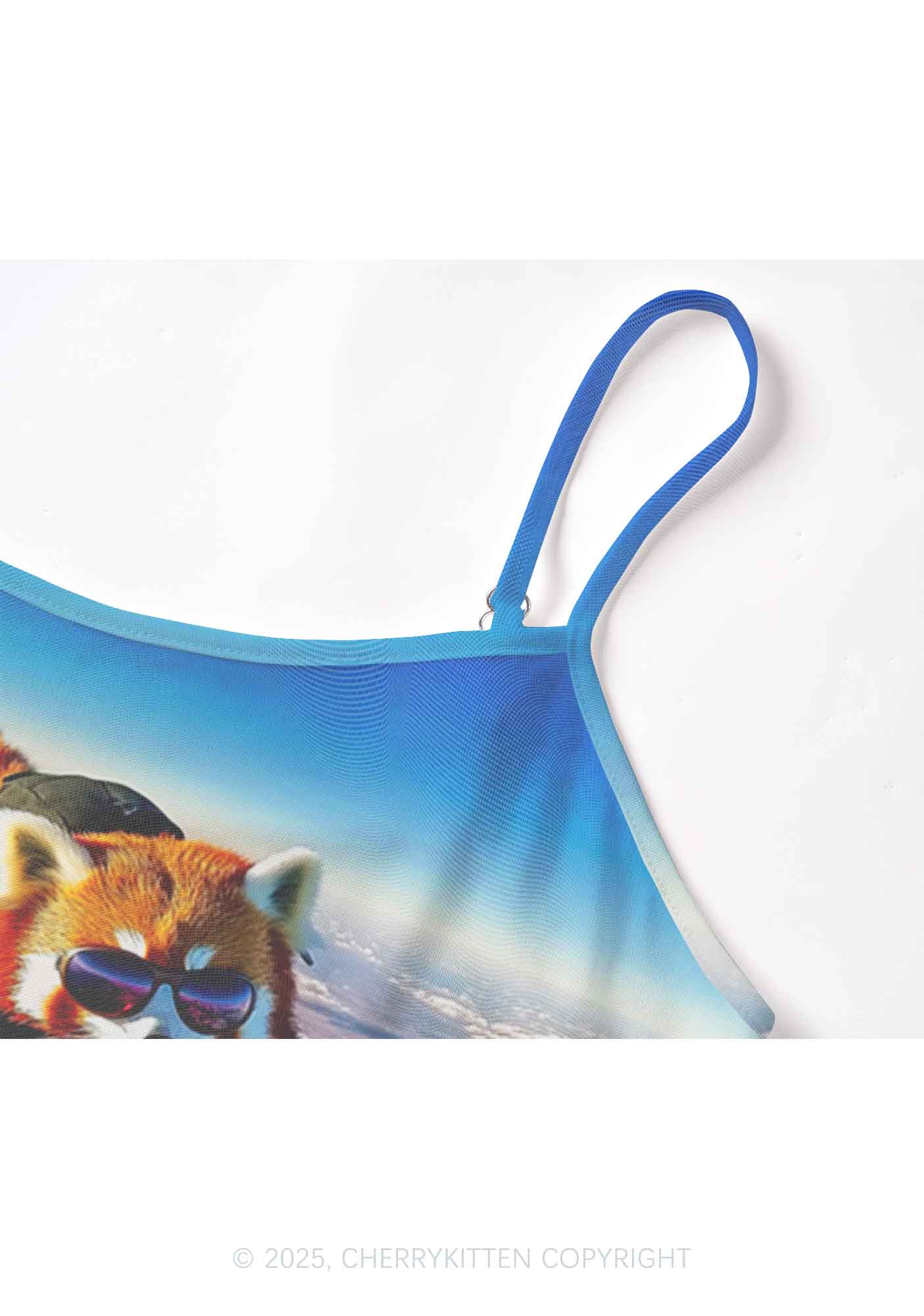 Flying Cool Raccoon Y2K Mesh Cami Tank Cherrykitten