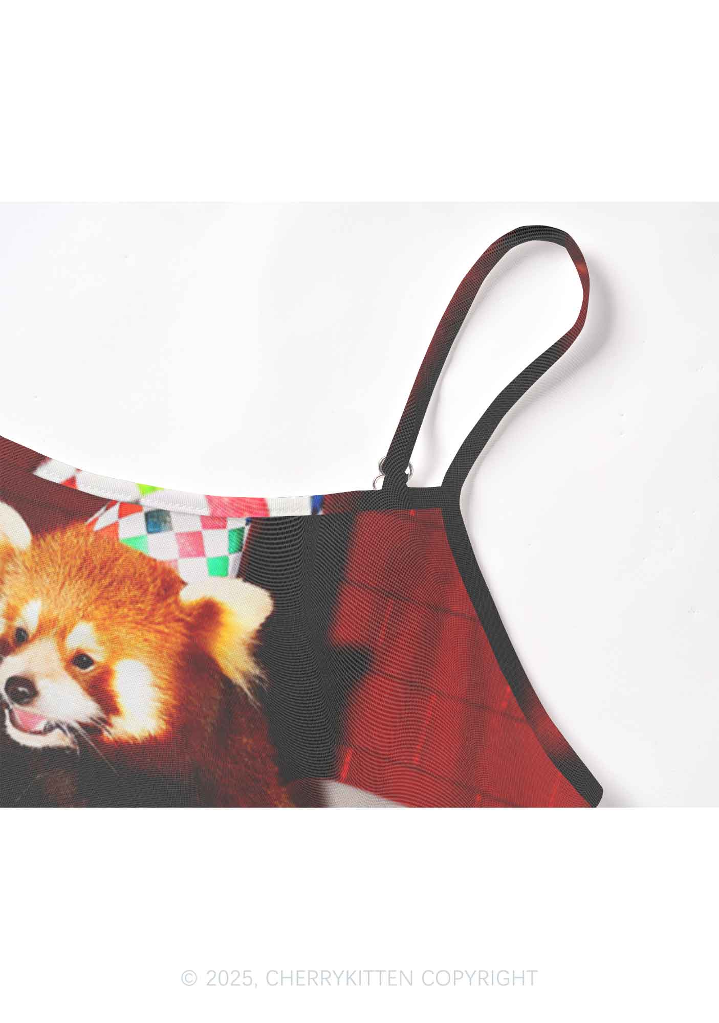 Birthday Cake Raccoon Y2K Mesh Cami Tank Cherrykitten