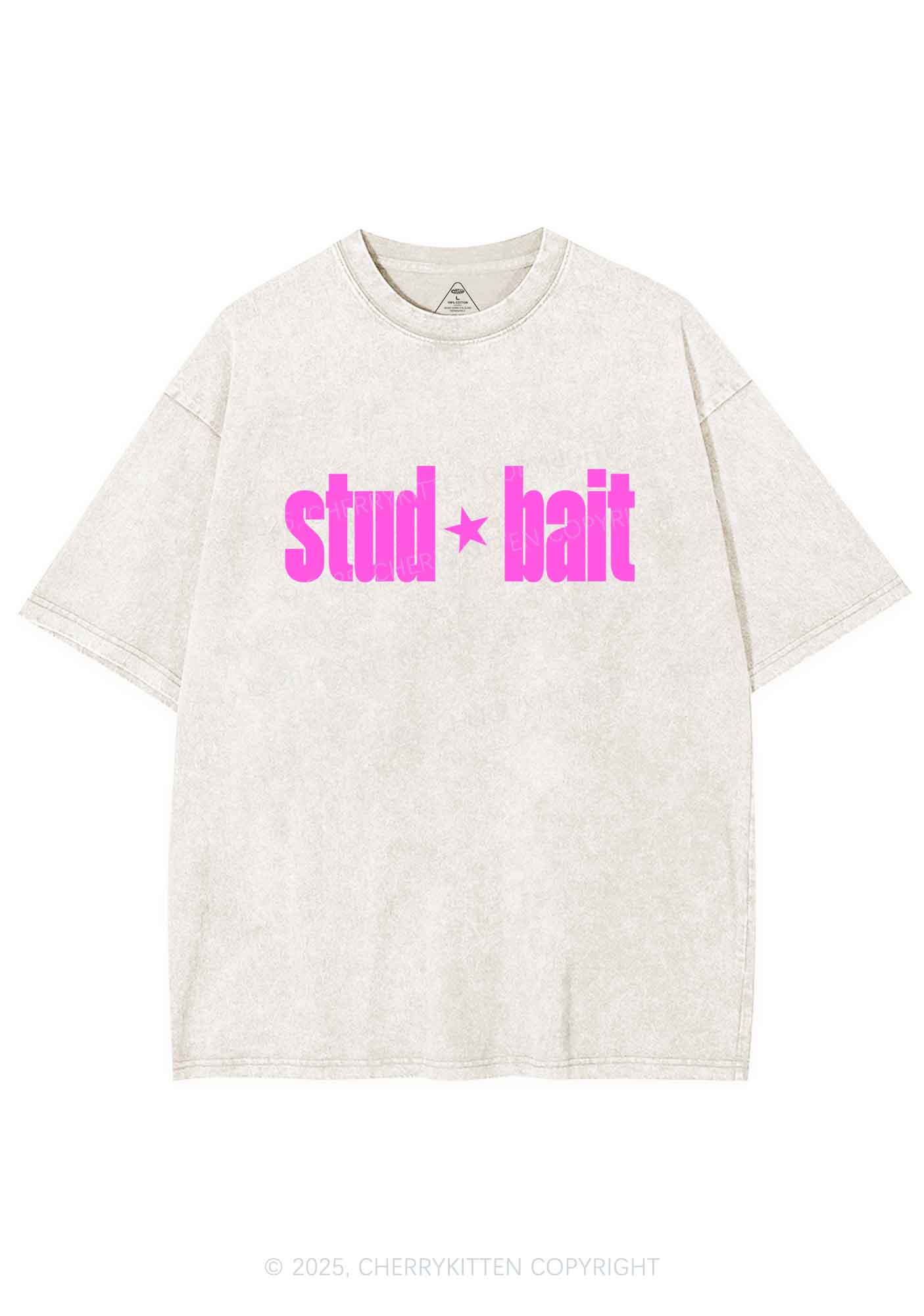 Stud Bait Pride Y2K Shirts Washed Tee Cherrykitten