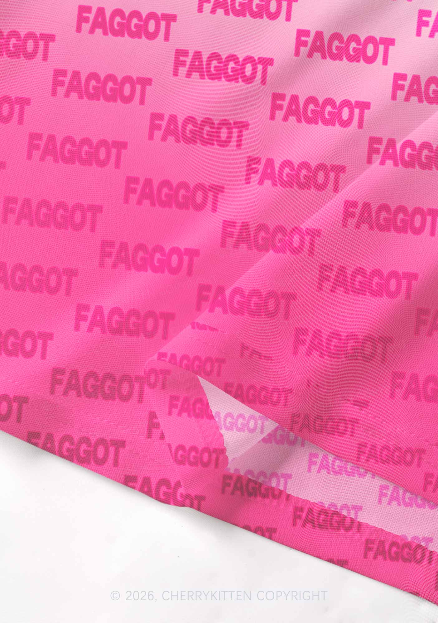 Faded Pink Faggot Pride Y2K Mesh Long Sleeve Crop Top Cherrykitten