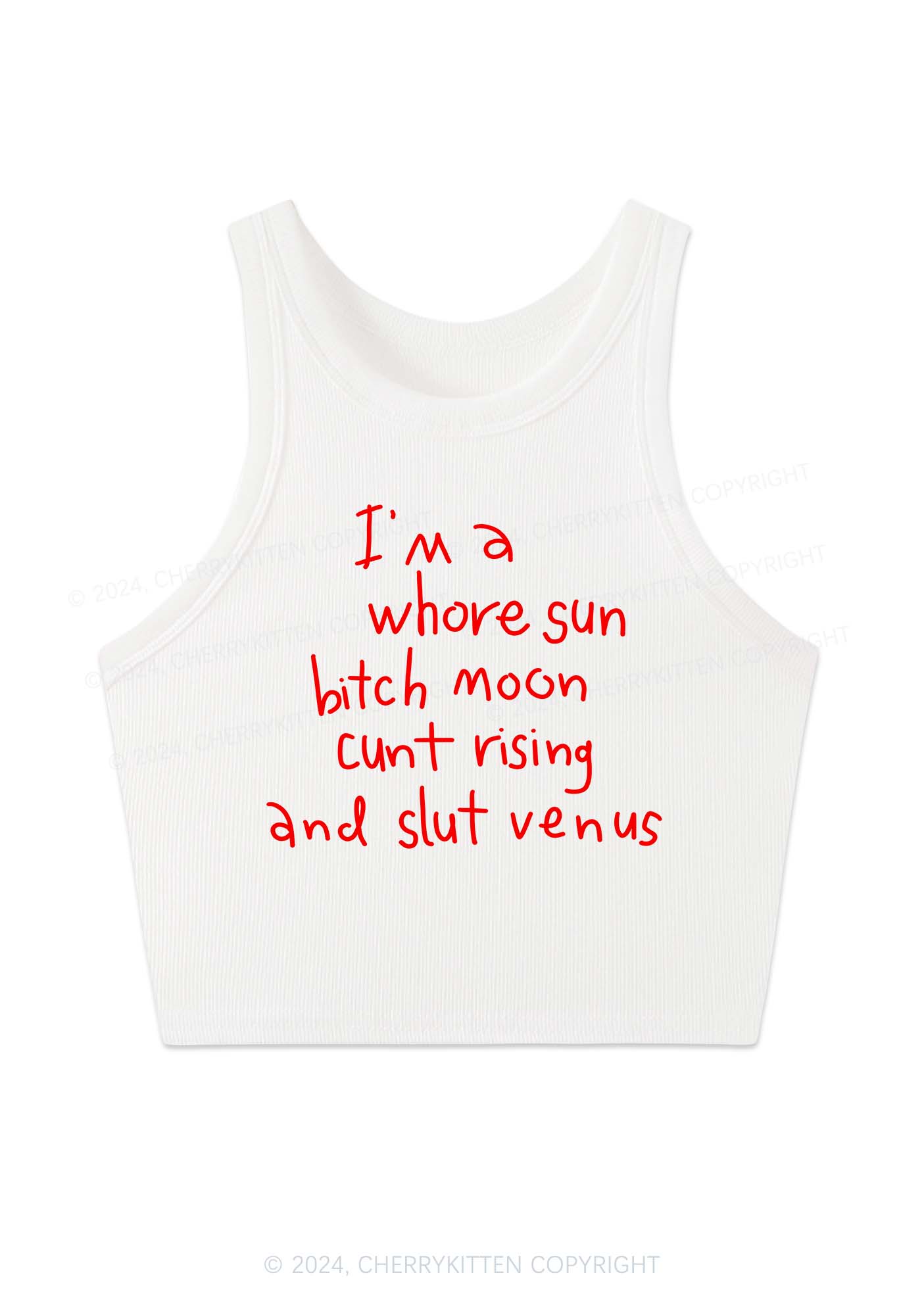 Whole Sun Bxxch Y2K Crop Tank Top Cherrykitten