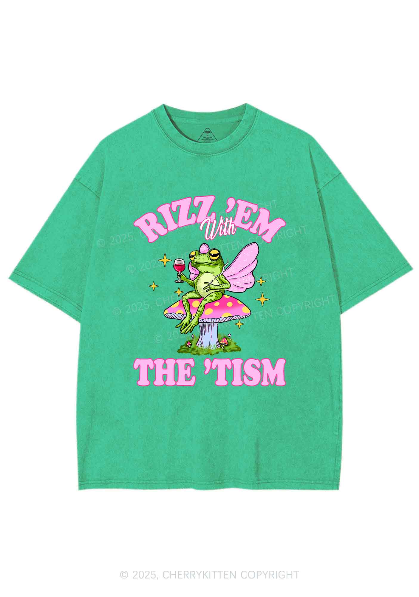 Fairy Frog Rizz Tism Y2K Shirts Washed Tee Cherrykitten