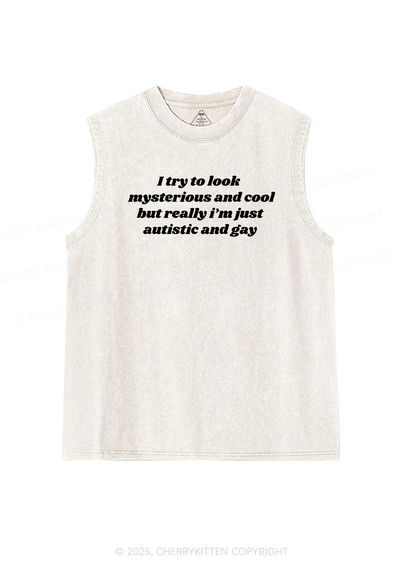 Im Just Autistic And Gay Pride Y2K Washed Muscle Tank Cherrykitten