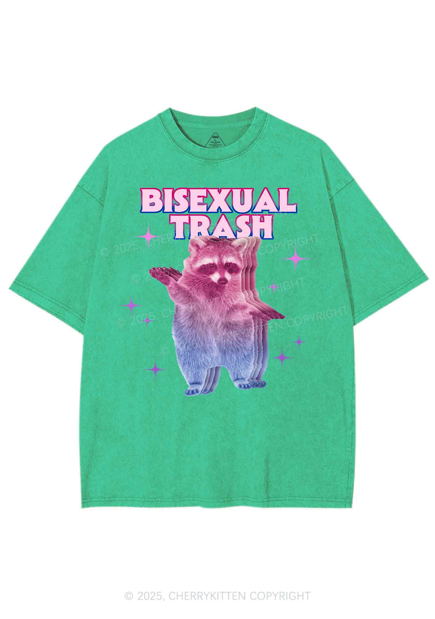 Bisexual Trash Raccoon Pride Y2K Shirts Washed Tee Cherrykitten