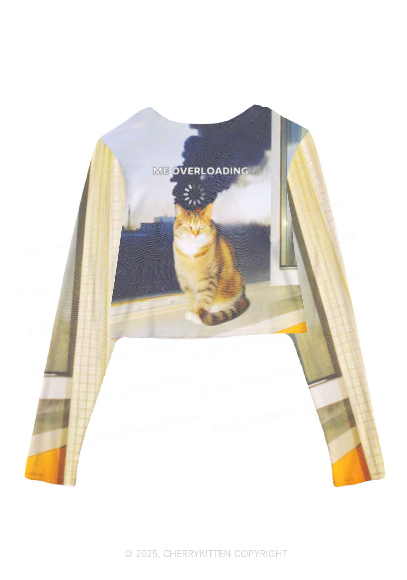 The Overloading Cat Y2K Mesh Long Sleeve Crop Top Cherrykitten