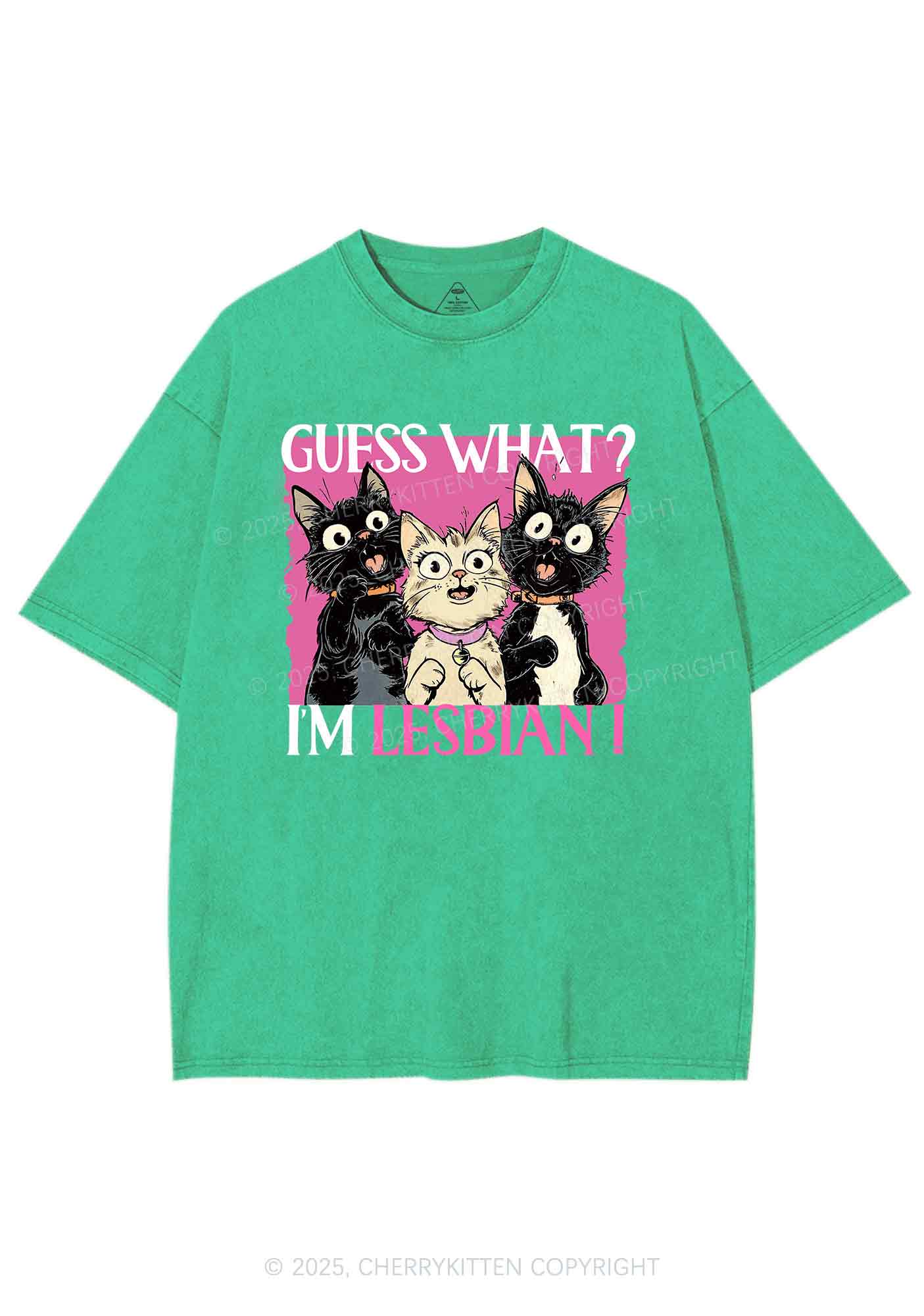 Im Lesbian Cat Pride Y2K Shirts Washed Tee Cherrykitten