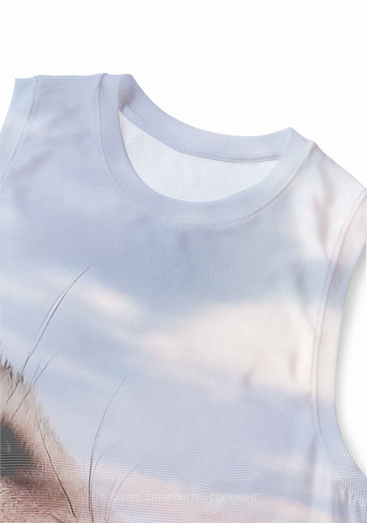 Cold Rat Y2K Mesh Muscle Tank Cherrykitten