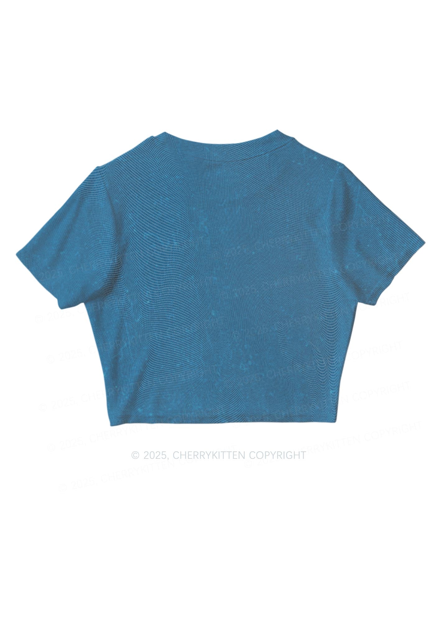 Phone Txts Y2K Mesh Crop Top Cherrykitten