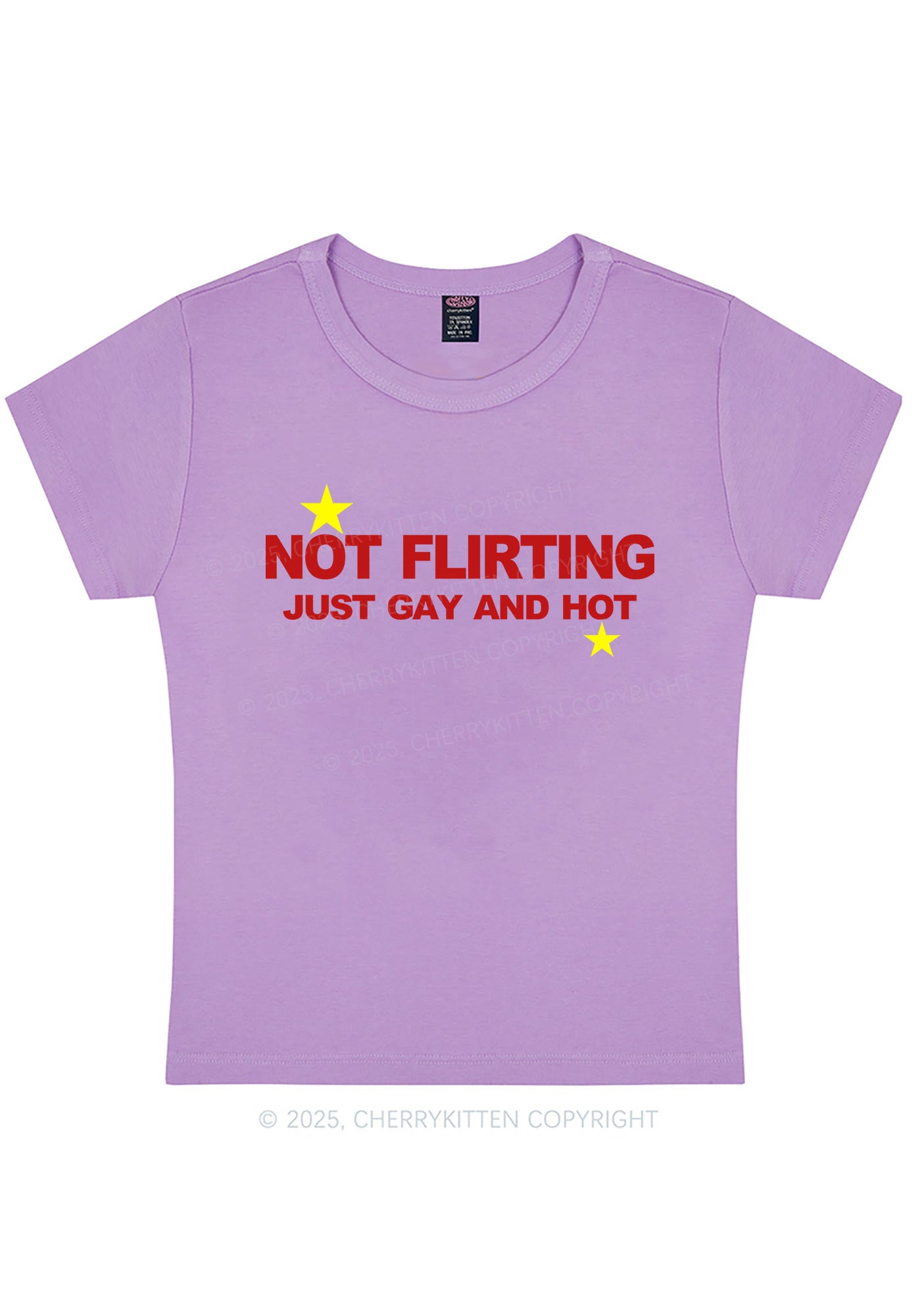 Not Flirting Pride Y2K Baby Tee Cherrykitten