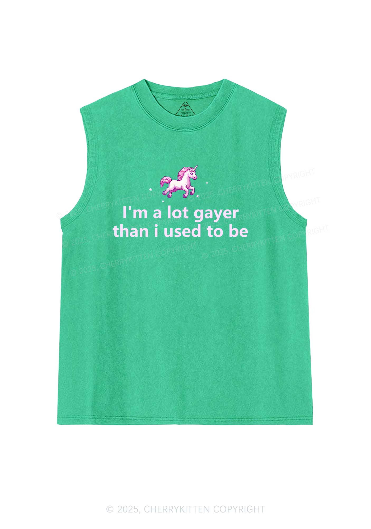 Im A Lot Gayer Pride Y2K Washed Muscle Tank Cherrykitten
