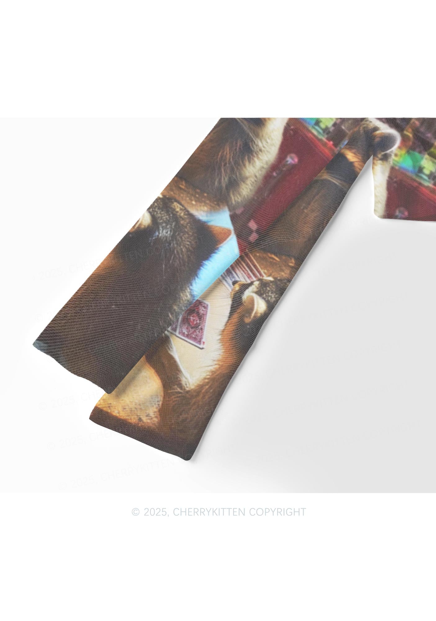Raccoon Poker Y2K Mesh Long Sleeve Crop Top Cherrykitten