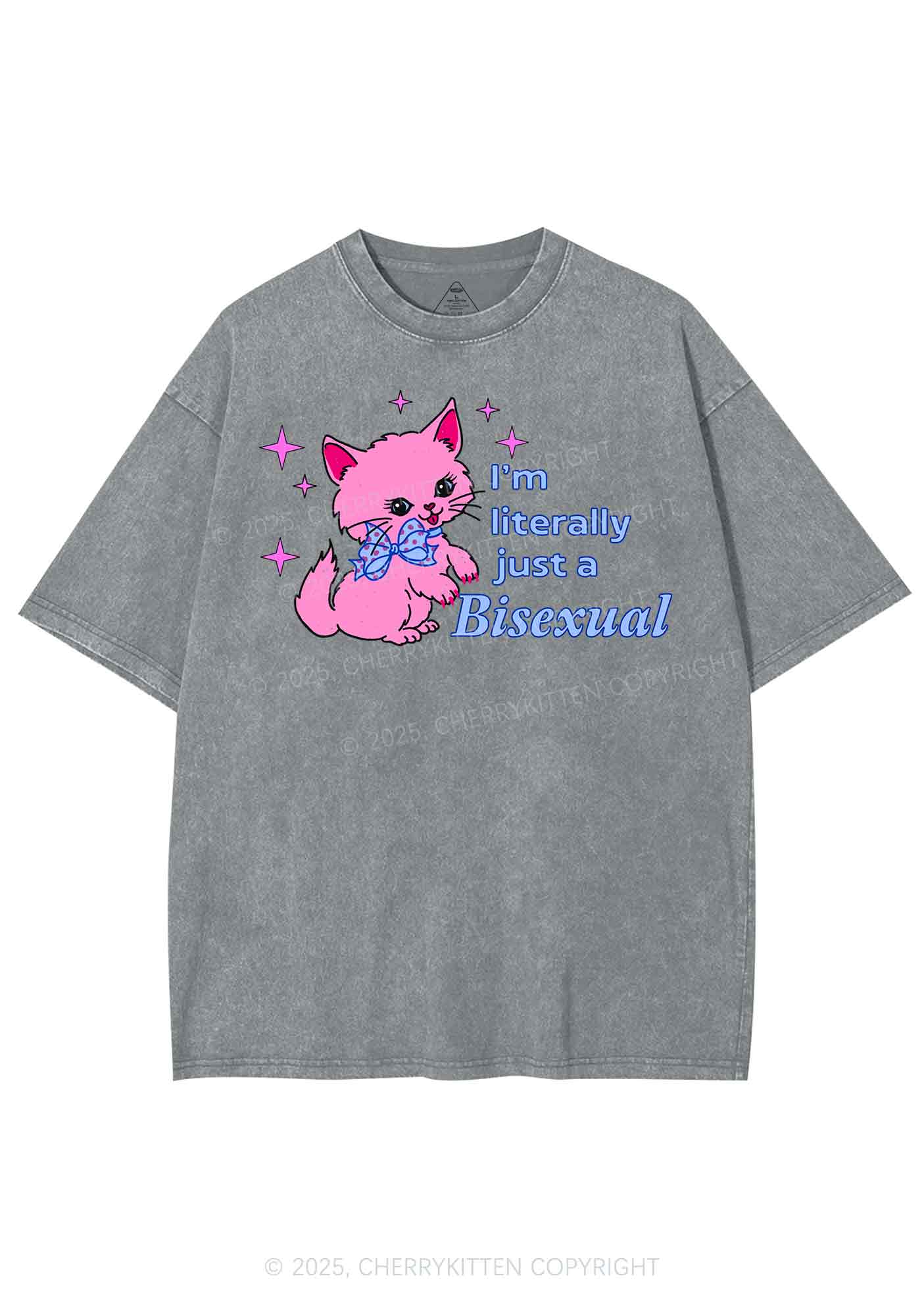Literally Just A Bisexual Pride Y2K Shirts Washed Tee Cherrykitten