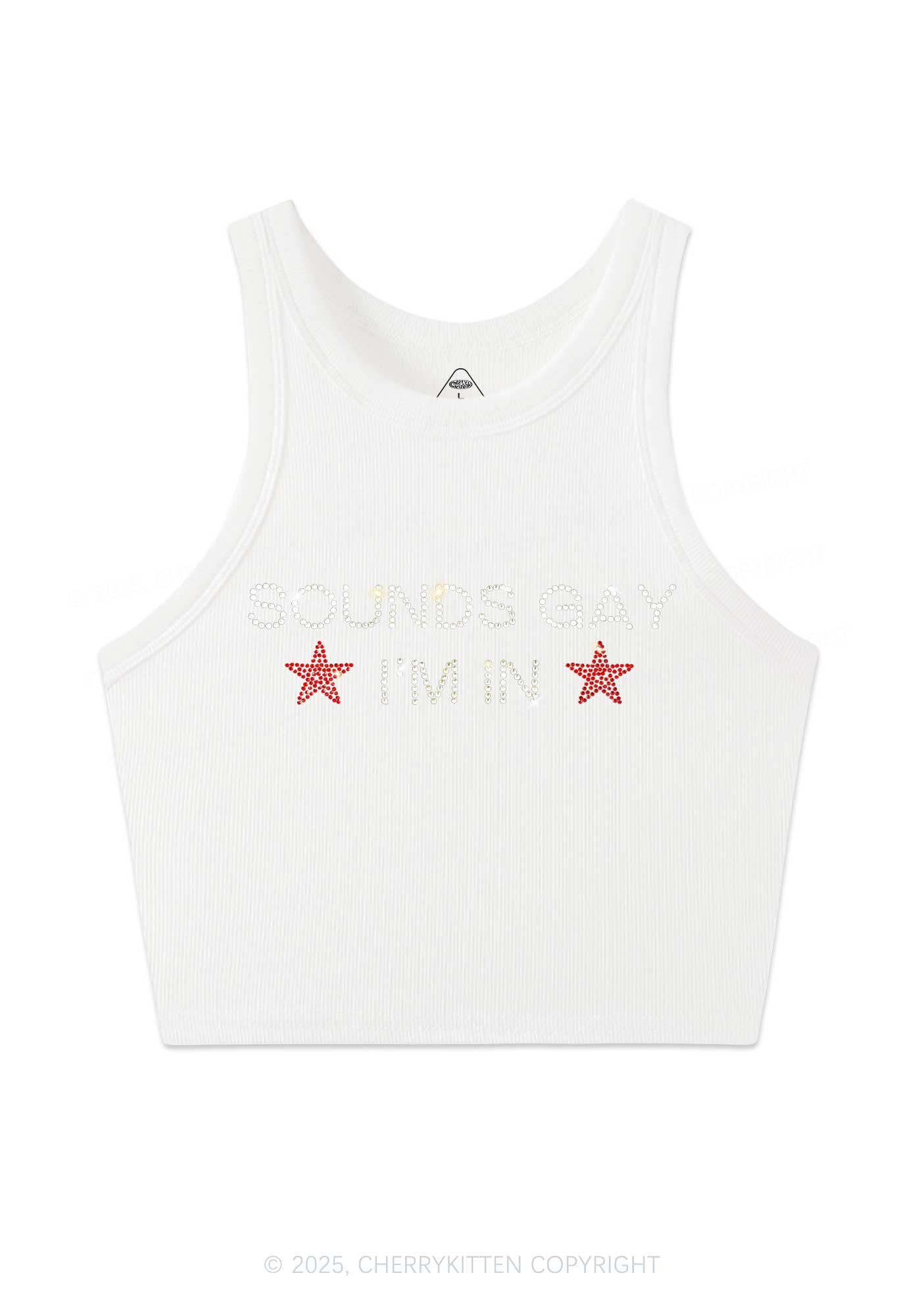 Rhinestone Sounds Gay Pride Y2K Crop Tank Top Cherrykitten