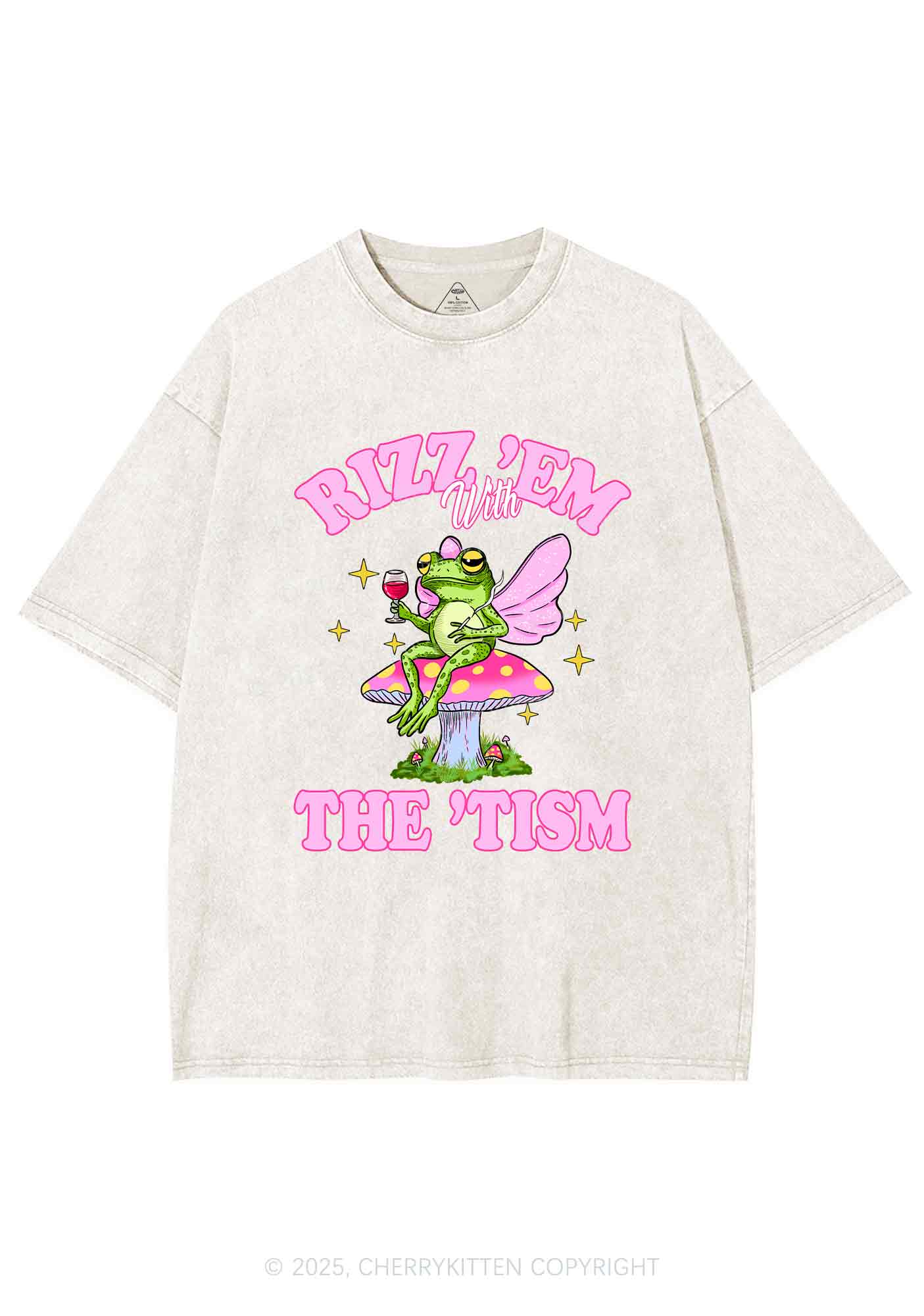 Fairy Frog Rizz Tism Y2K Shirts Washed Tee Cherrykitten