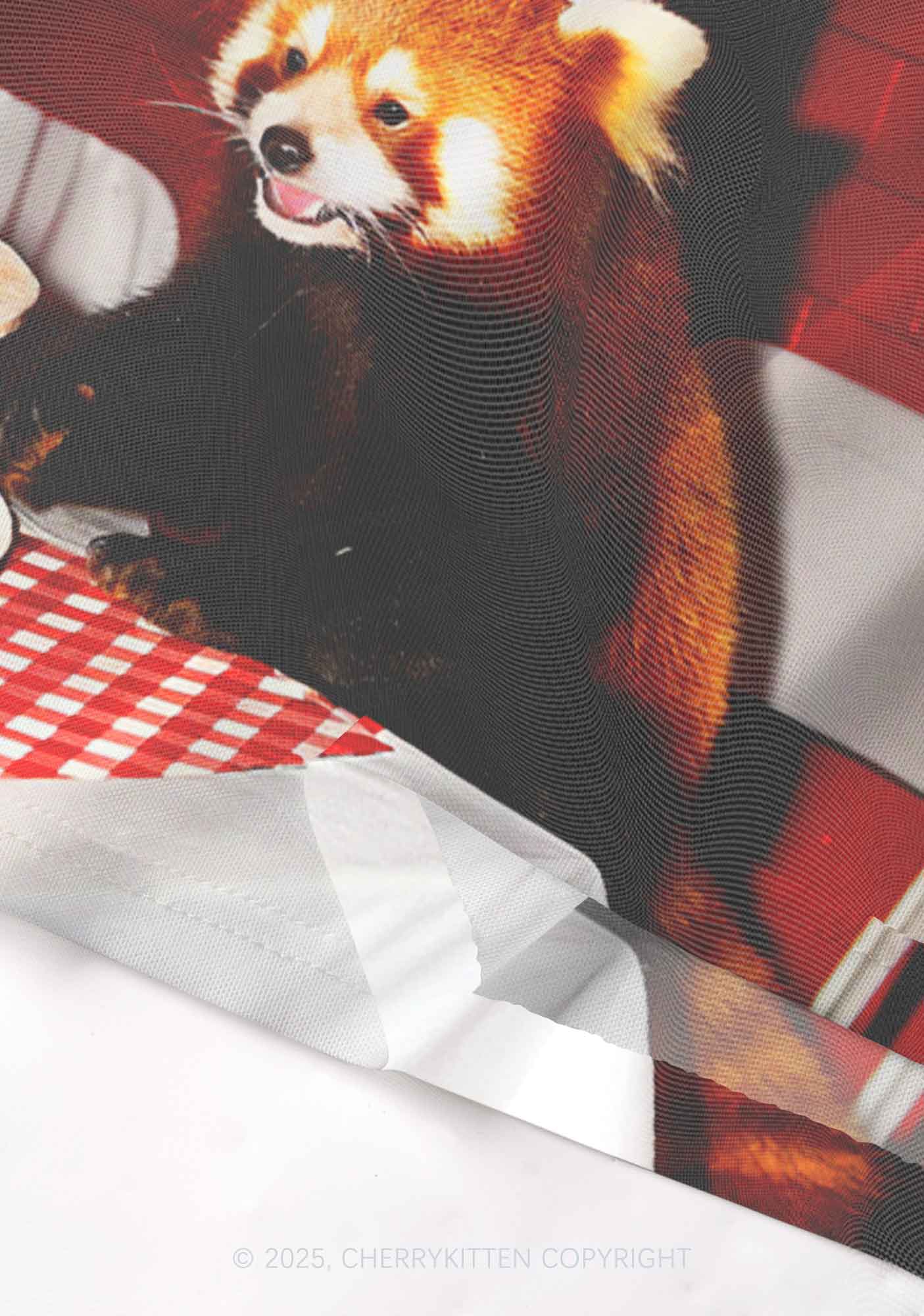 Birthday Cake Raccoon Y2K Mesh Cami Tank Cherrykitten