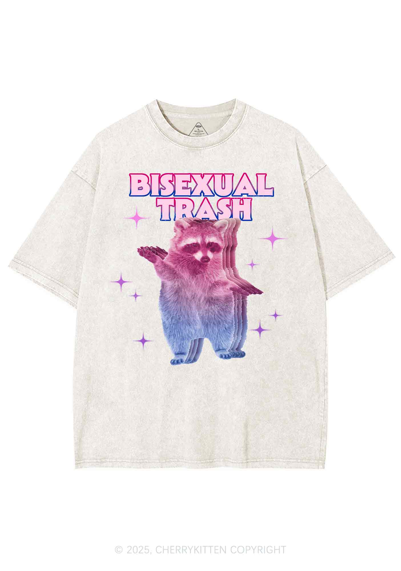 Bisexual Trash Raccoon Pride Y2K Shirts Washed Tee Cherrykitten