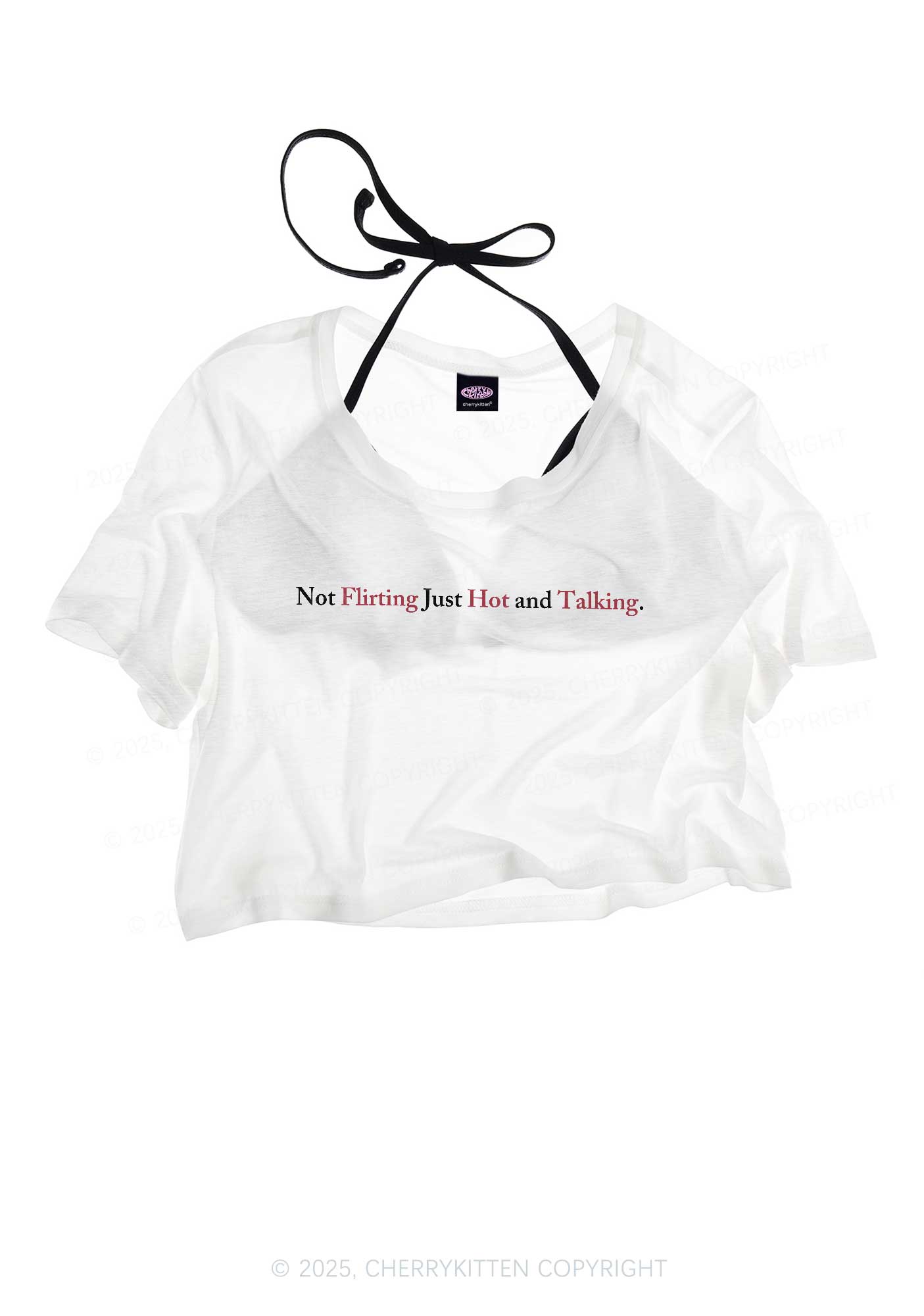 Just Hot And Talking Y2K Sheer Crop Tee Cherrykitten