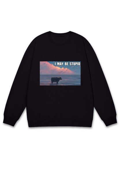 I May Be Stupid Meme Y2K Sweatshirt